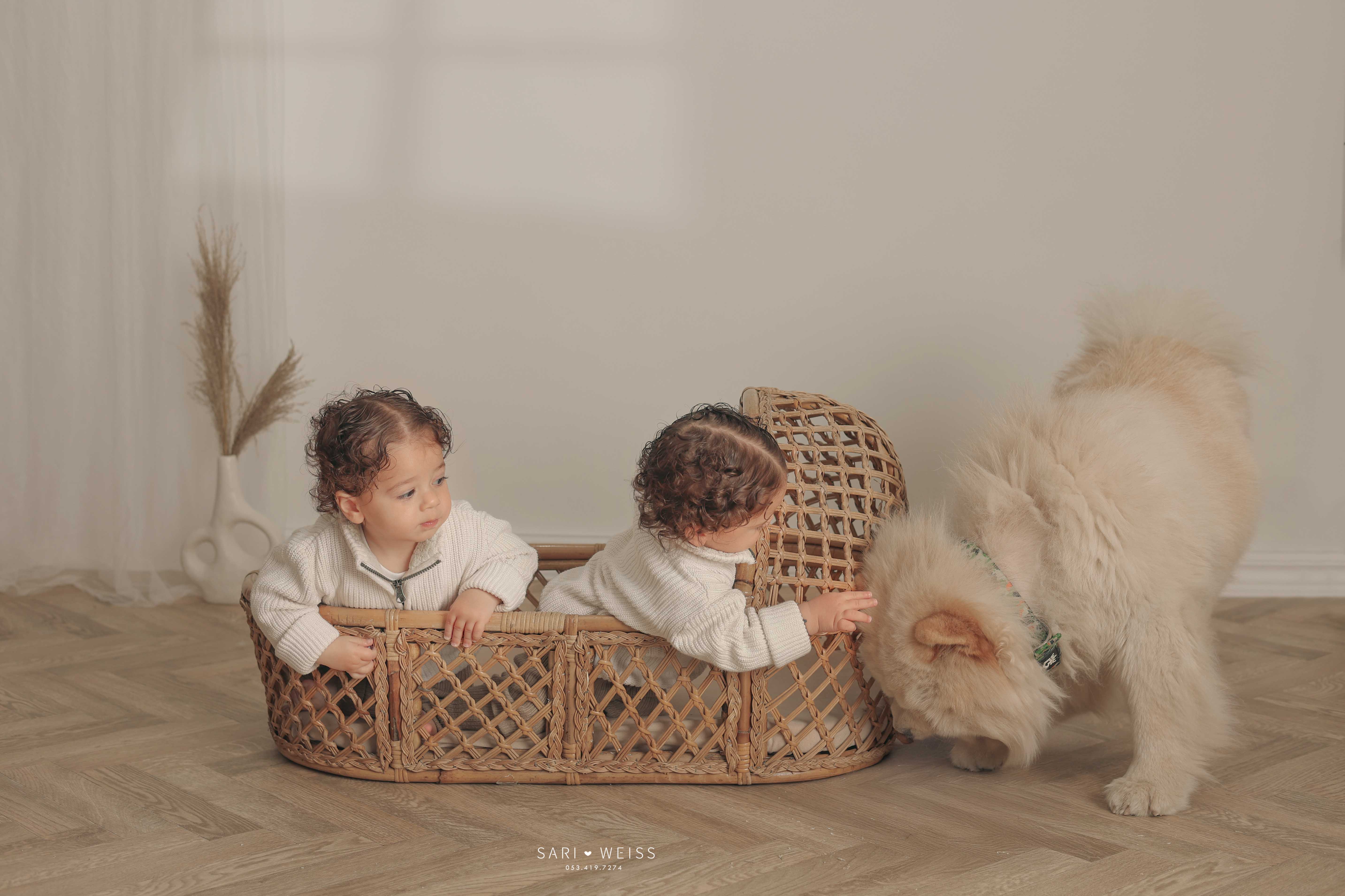 237A0021-Recovered copy מוק.jpg