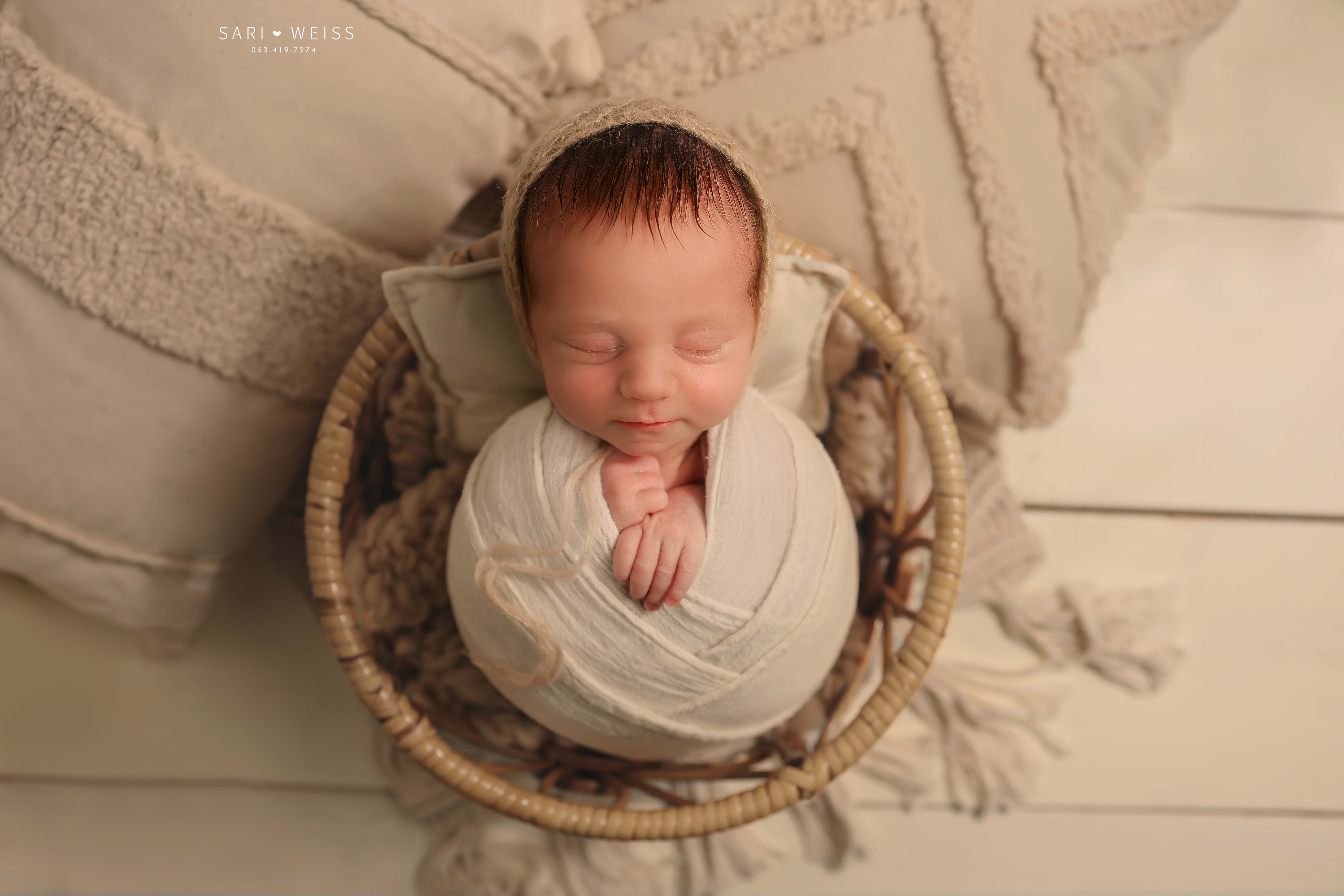 237A0460 copy 2 מוקטן.jpg