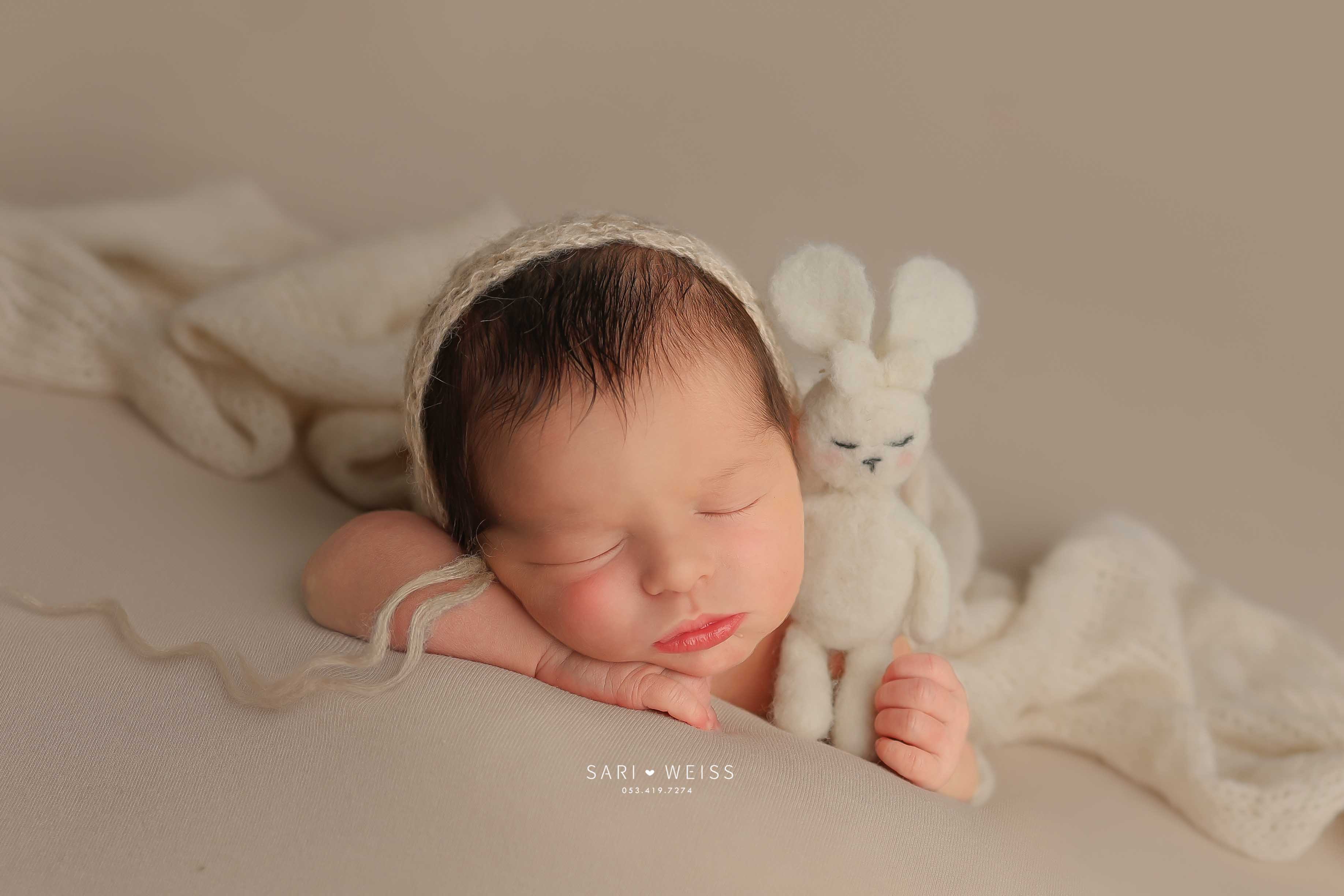 237A2499 copy מוק.jpg