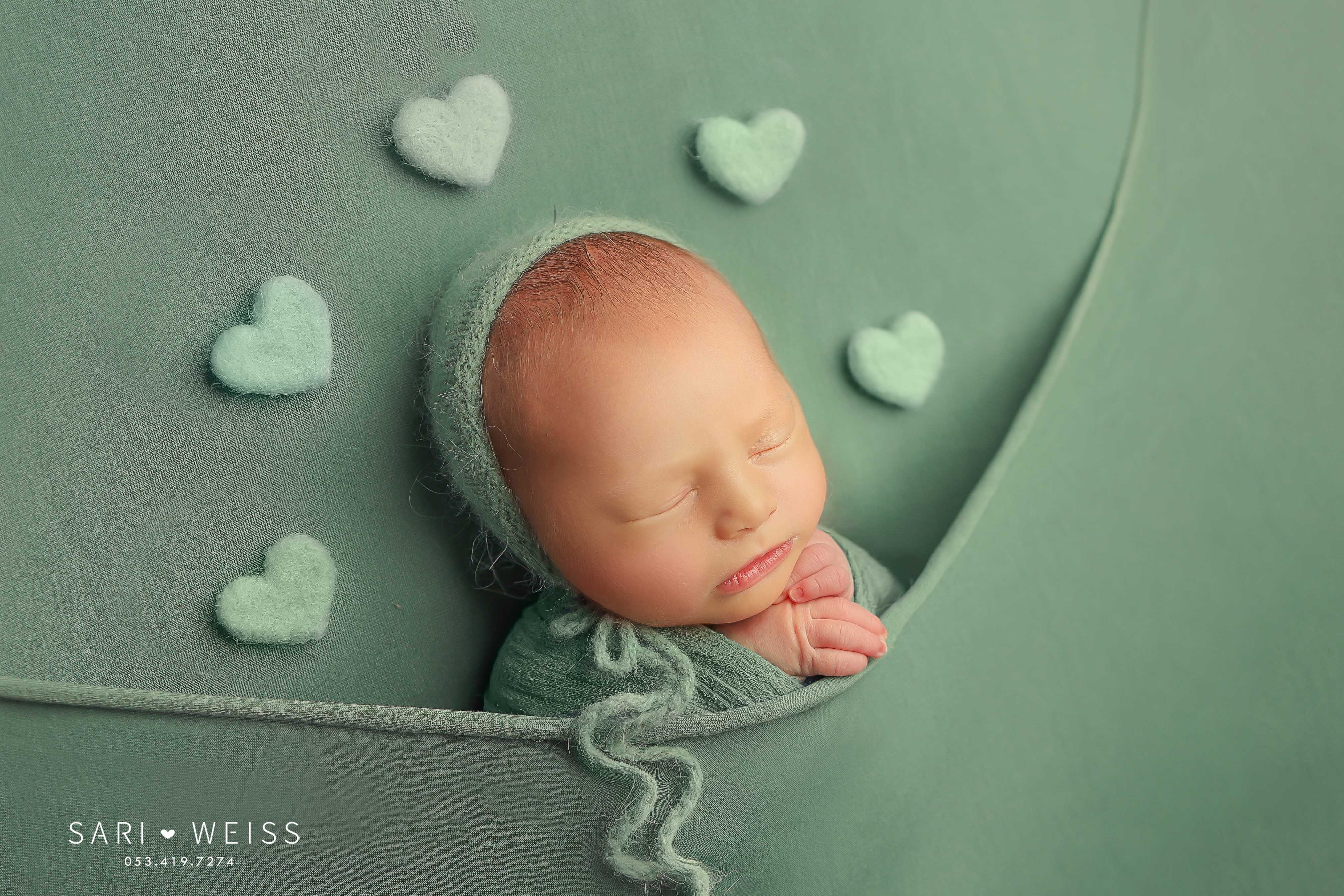 237A4178 copy מוקטן.jpg