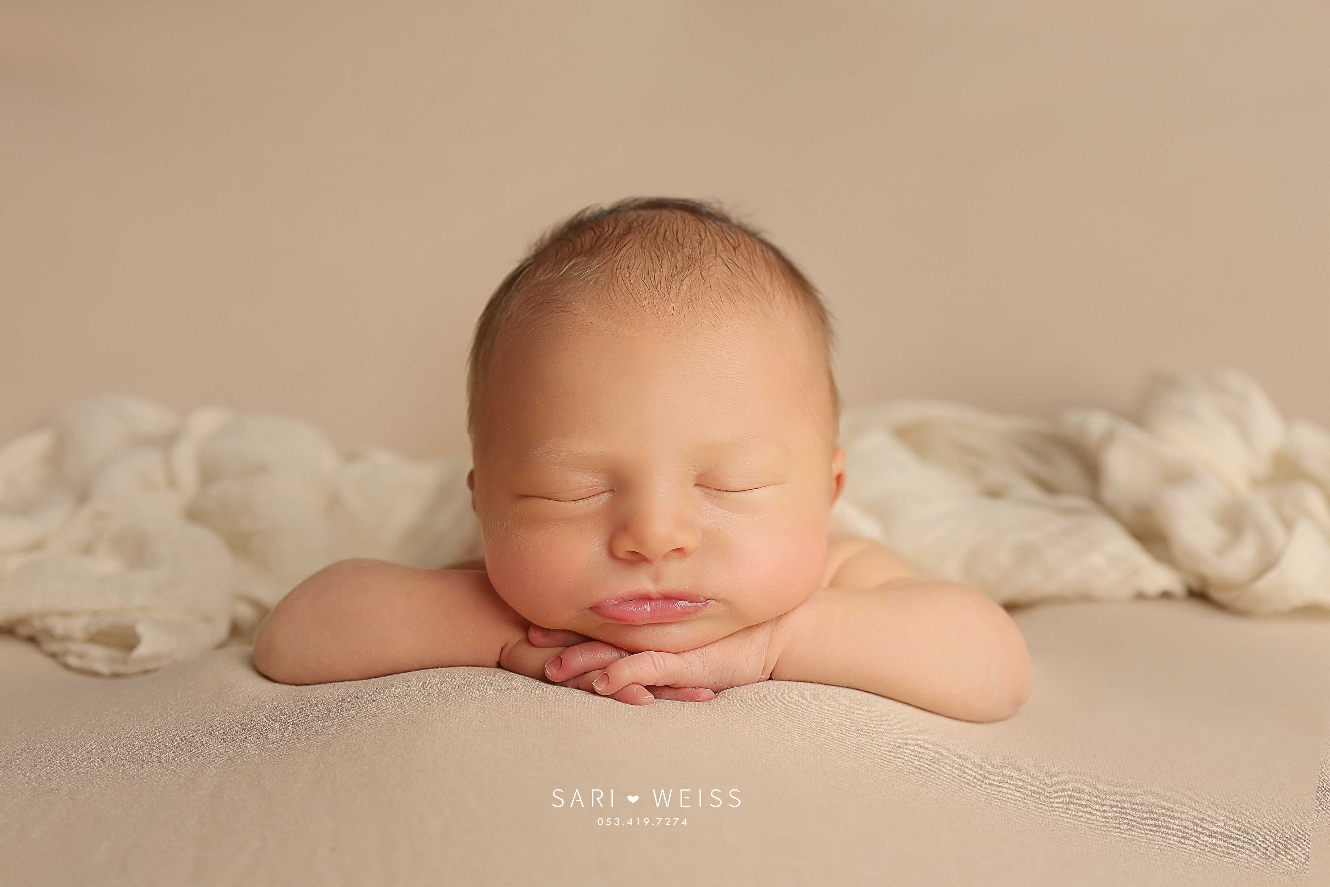 237A4242 copy מוקטן.jpg