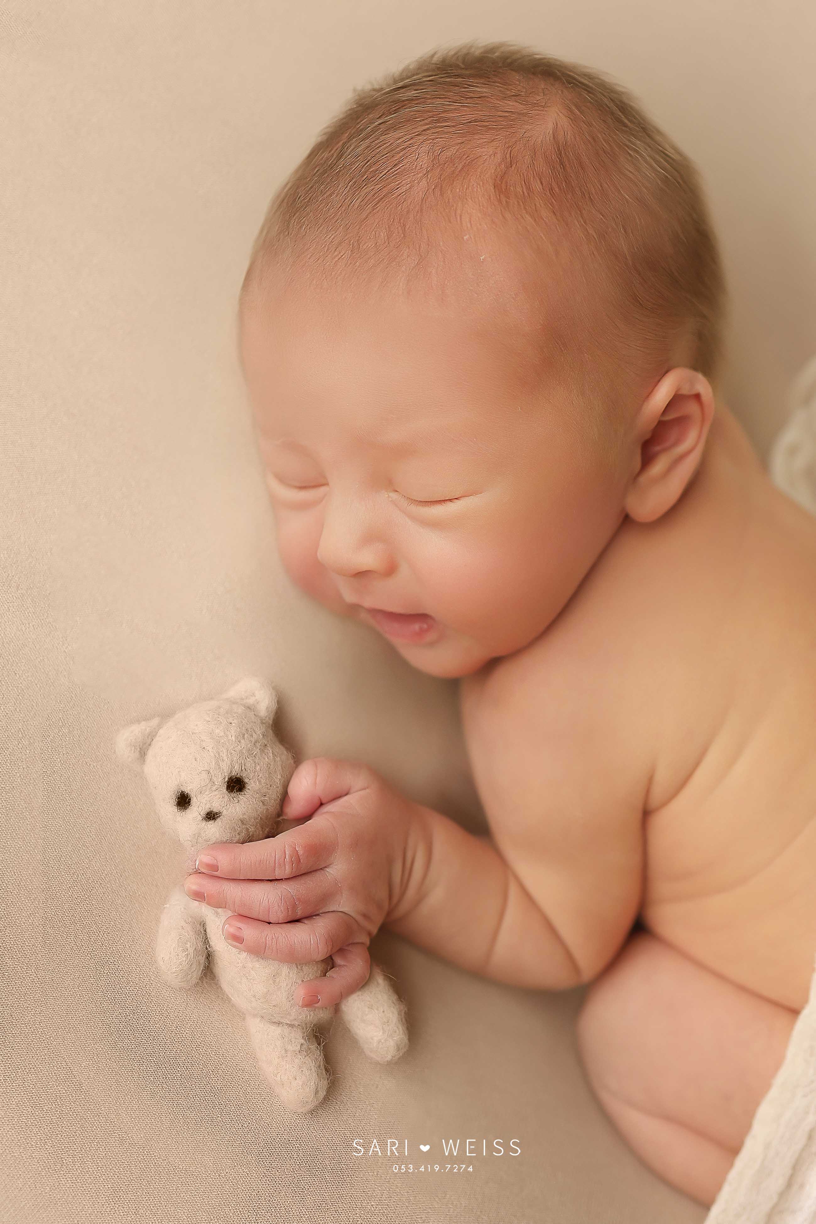 237A4427 copy מוקטן.jpg