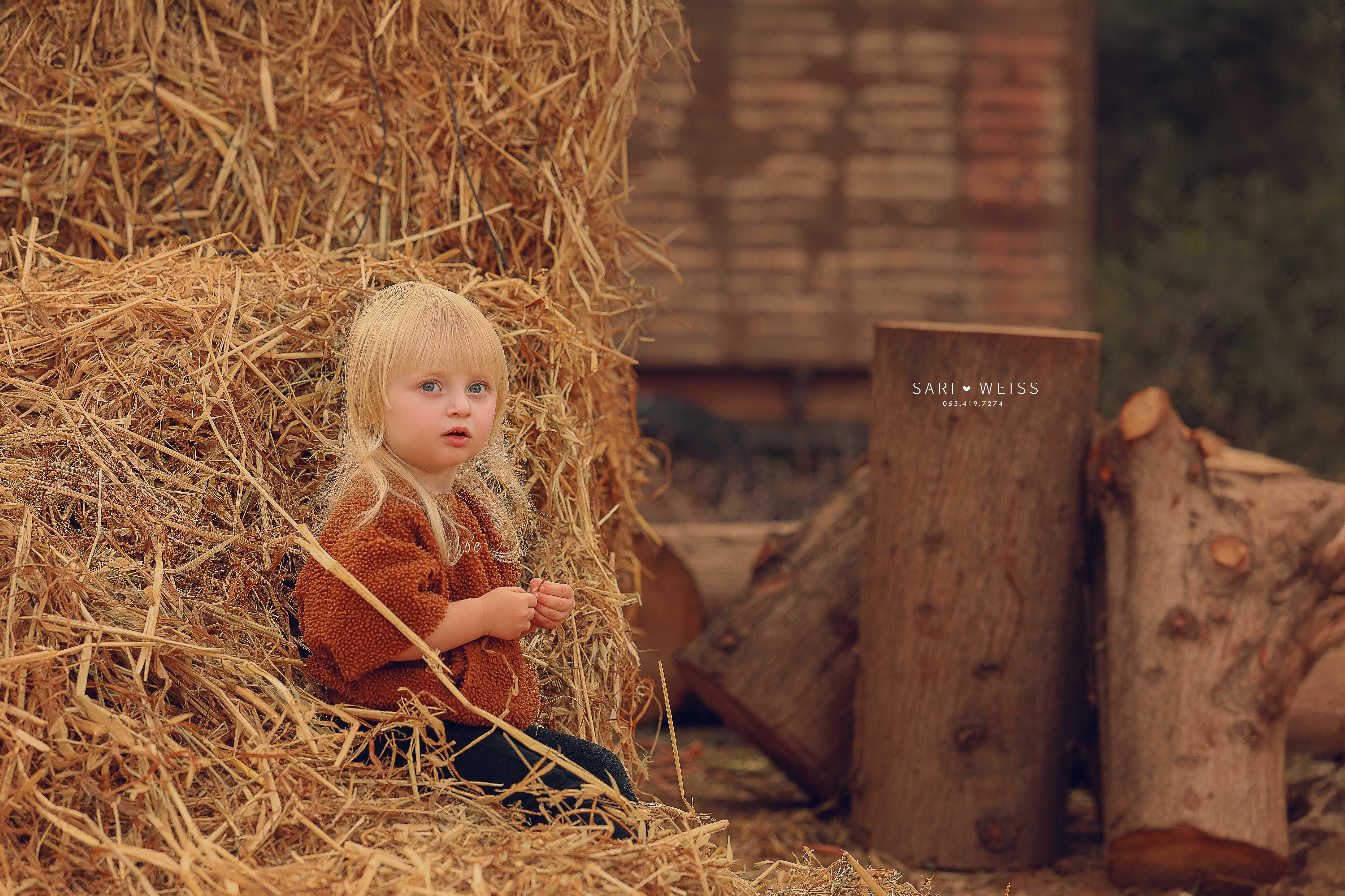 237A6479 copy מוקטן.jpg