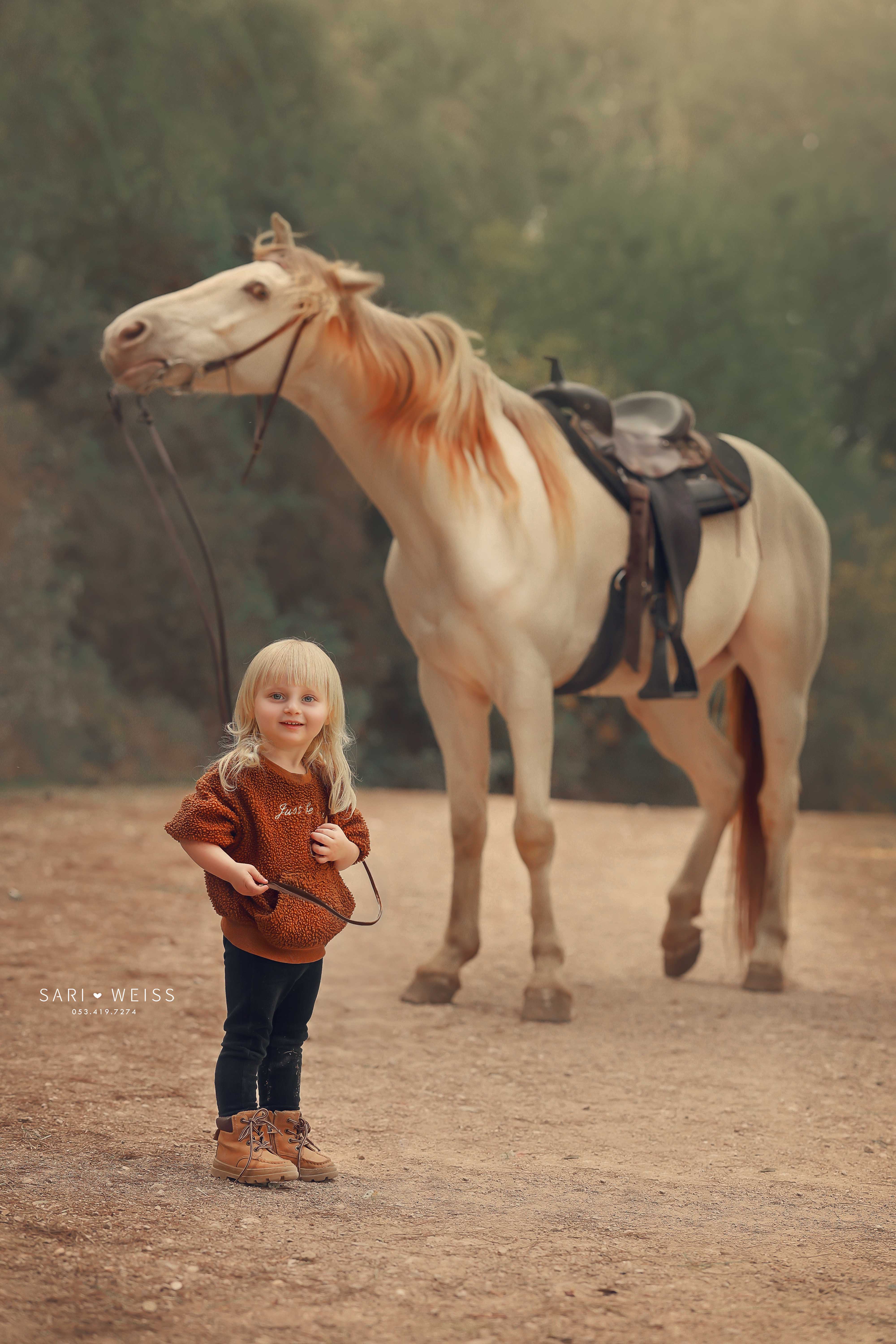 237A6737 copy מוקטן.jpg