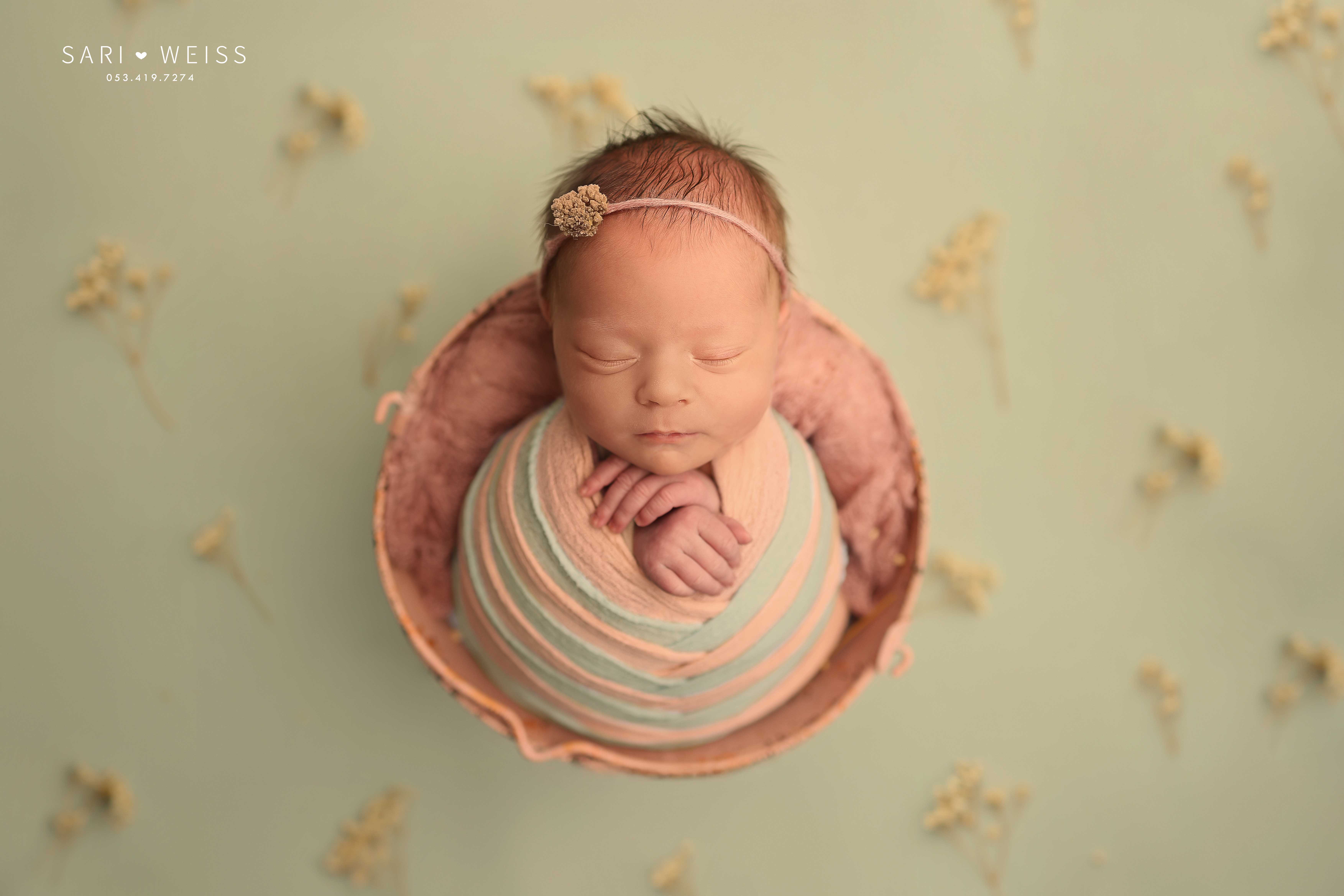 237A8101 copy  מוקטן.jpg