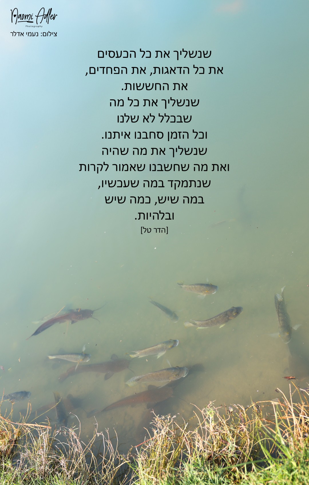 297 (גדול).jpg