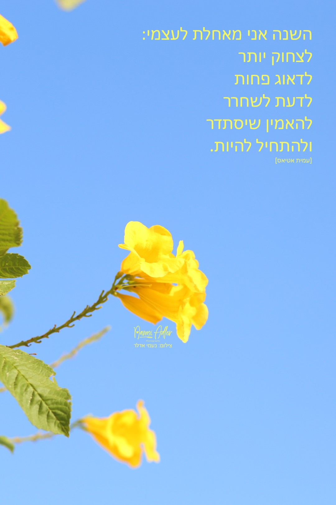298 (גדול).jpg