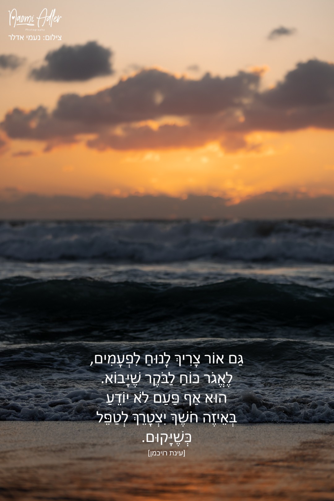 307.1 (גדול).jpg