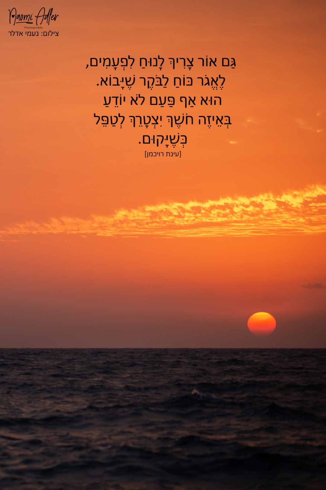 307 copy (גדול).jpg