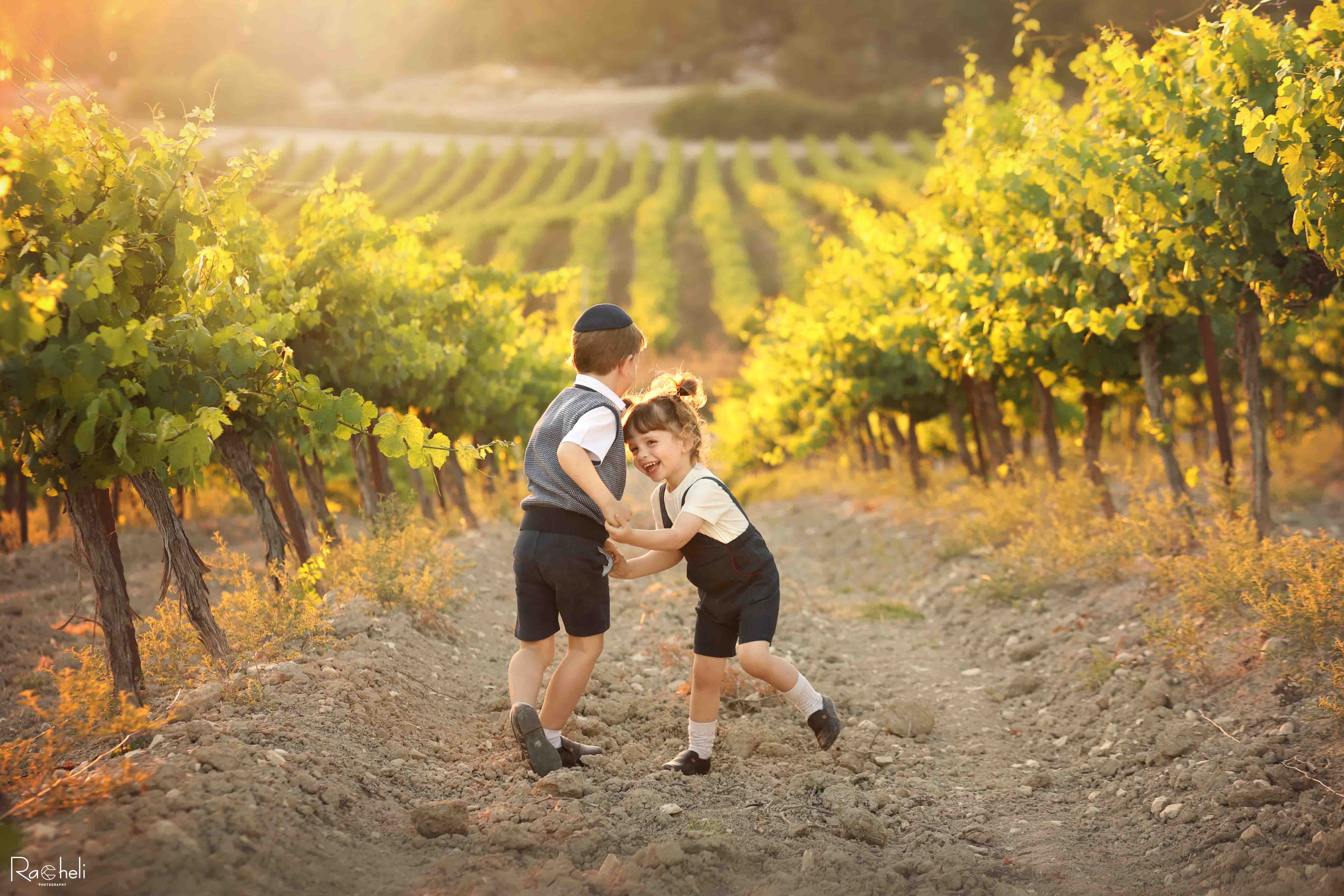 3O9A0039 מ מוקטן.jpg