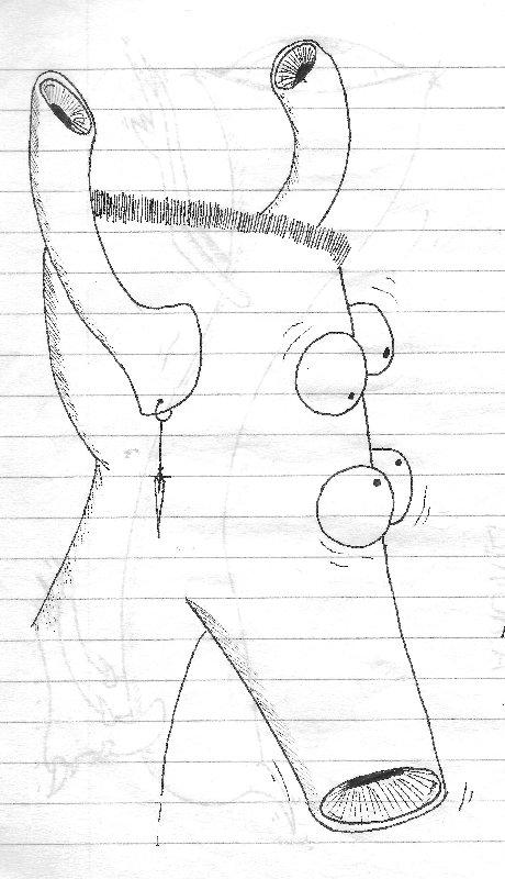 4 עיניים מתפלא..