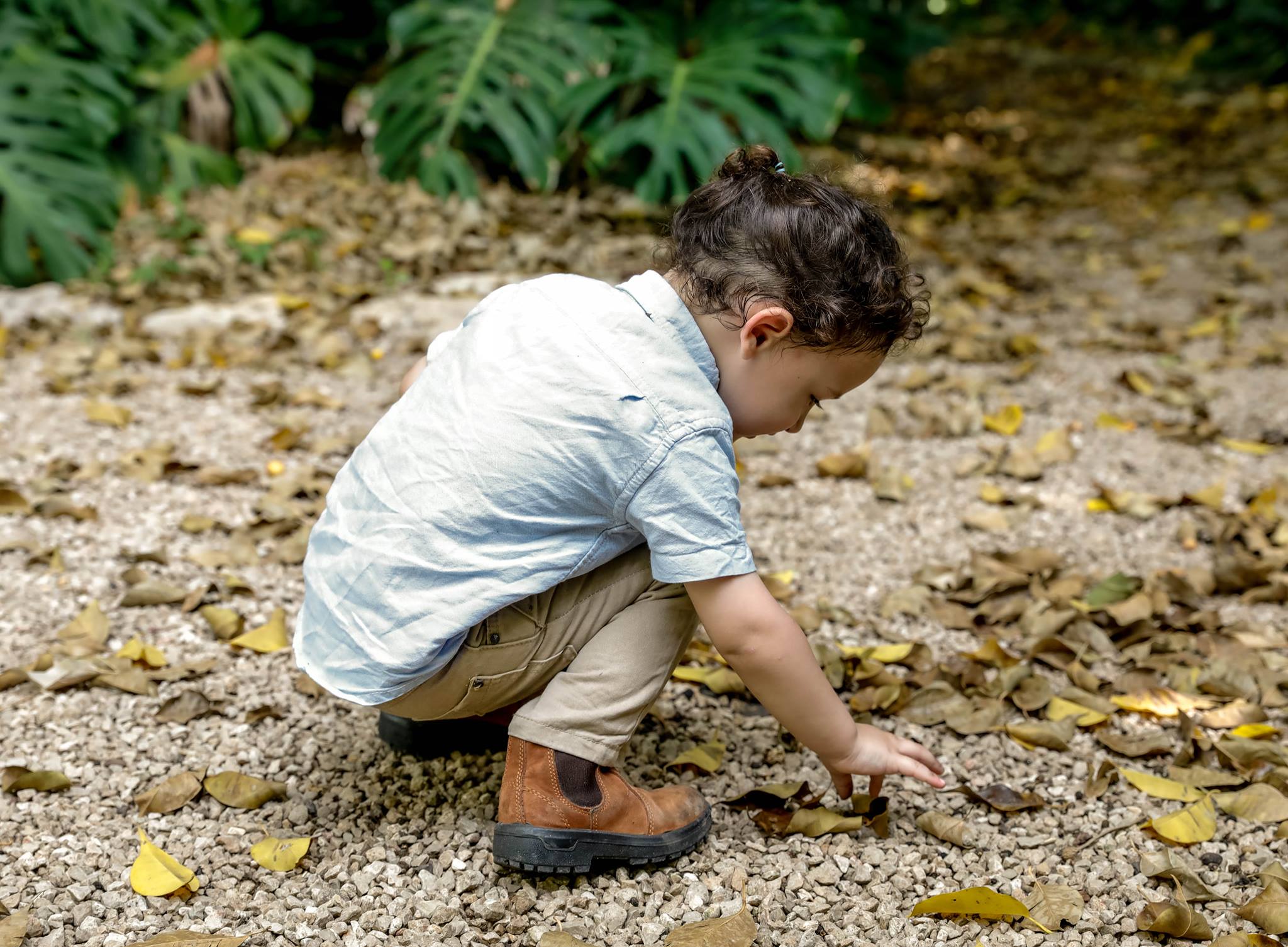 44371645_2030149627099694_2445329863221968896_o