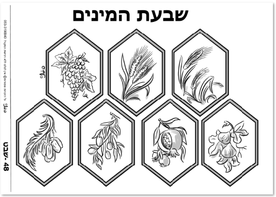 48-שבעת המינים