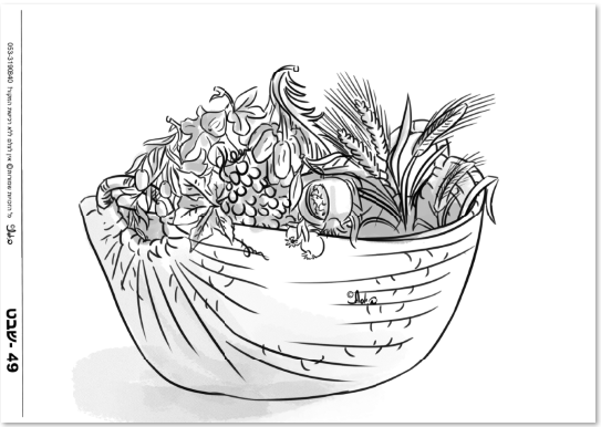 49- שבעת המינים בסלסלה