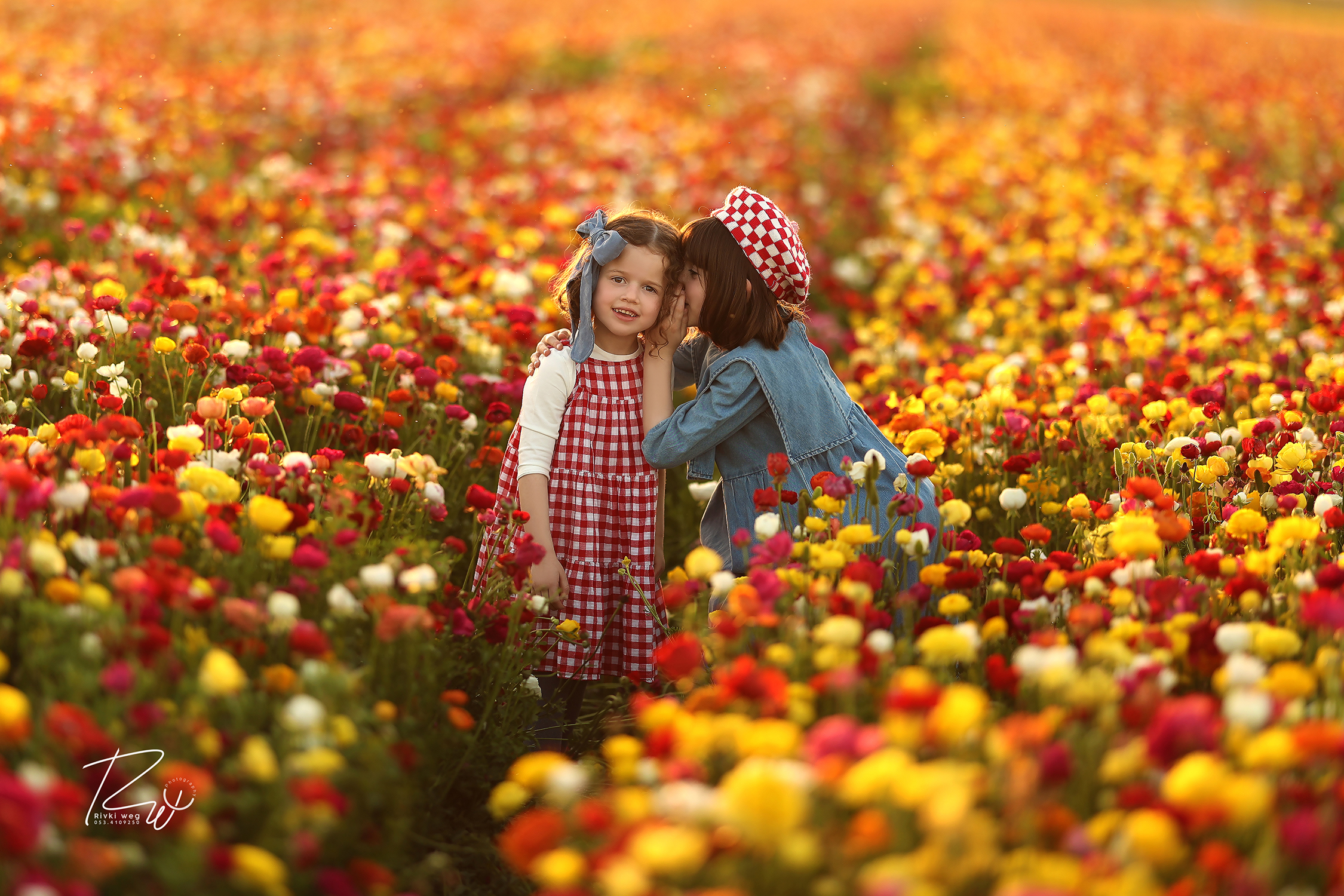 4W3A0770 העתק.jpg