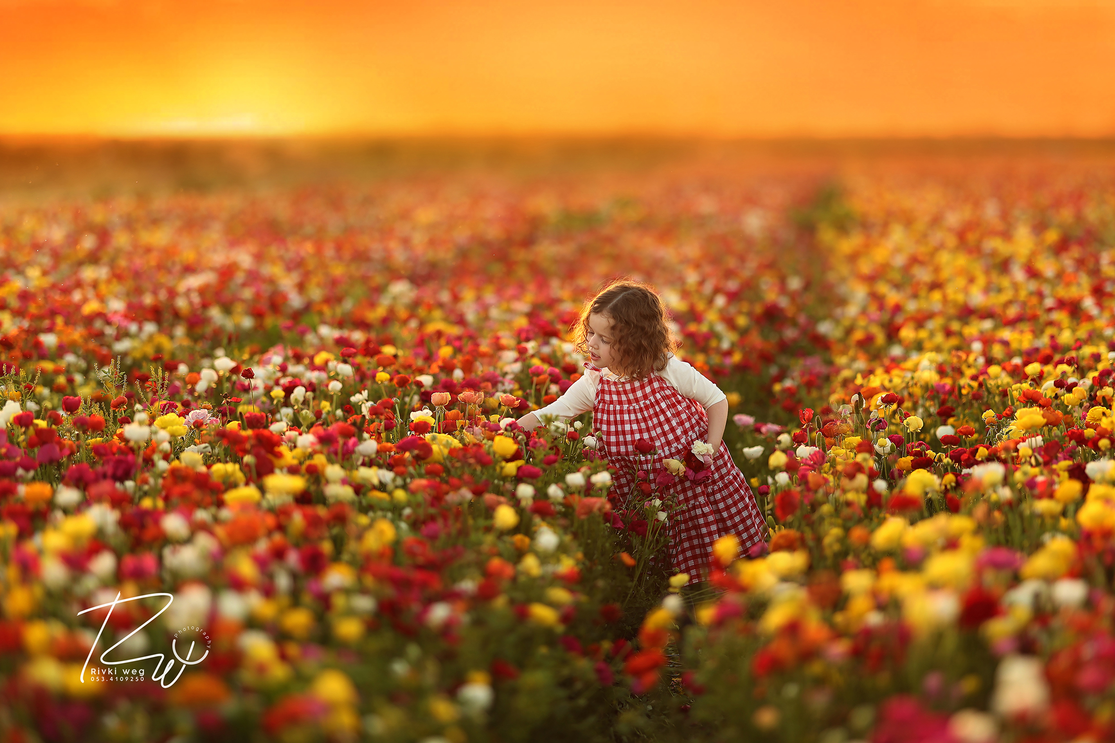 4W3A0881 העתק.jpg