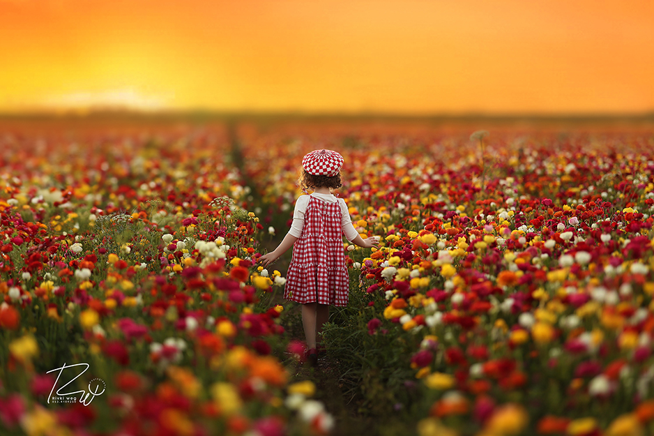 4W3A1133 העתק.jpg