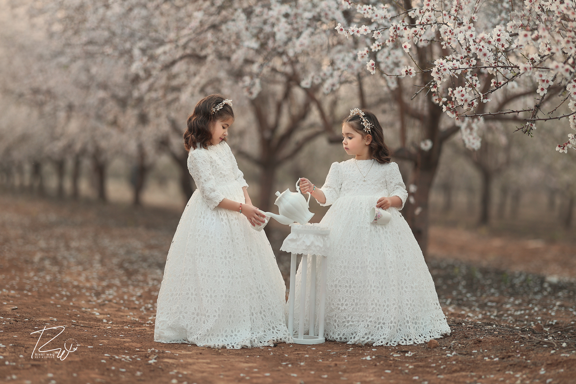 4W3A1402 העתק.jpg