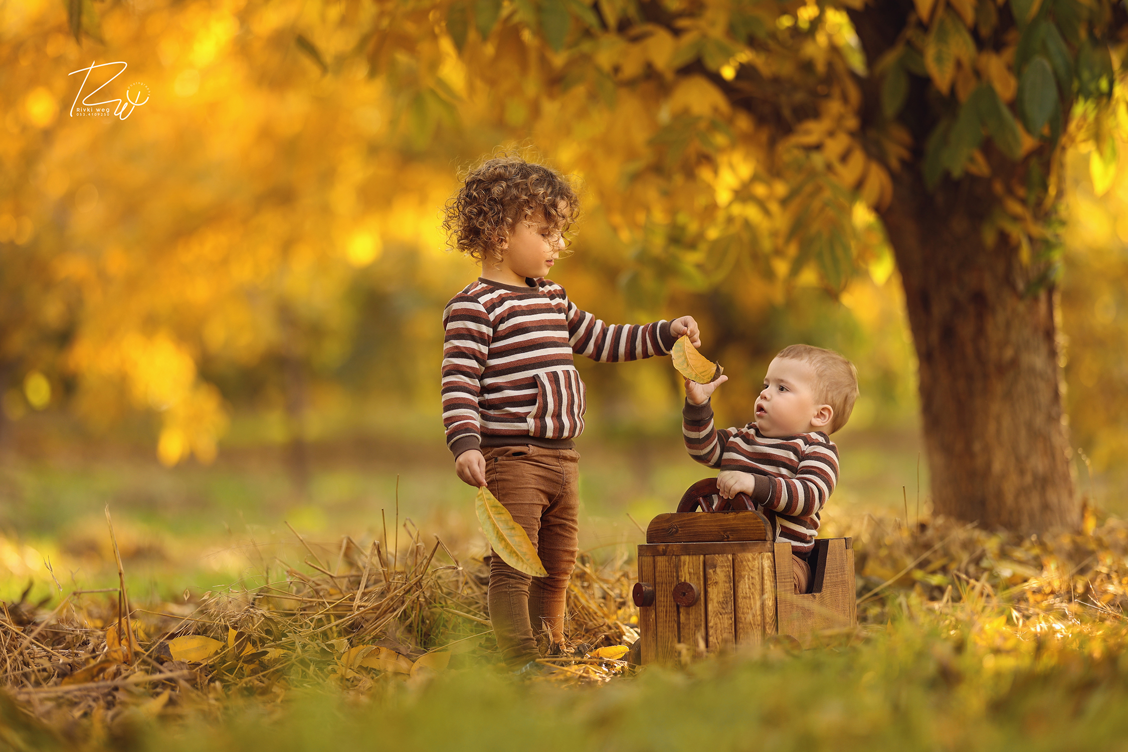 4W3A7472 העתק.jpg