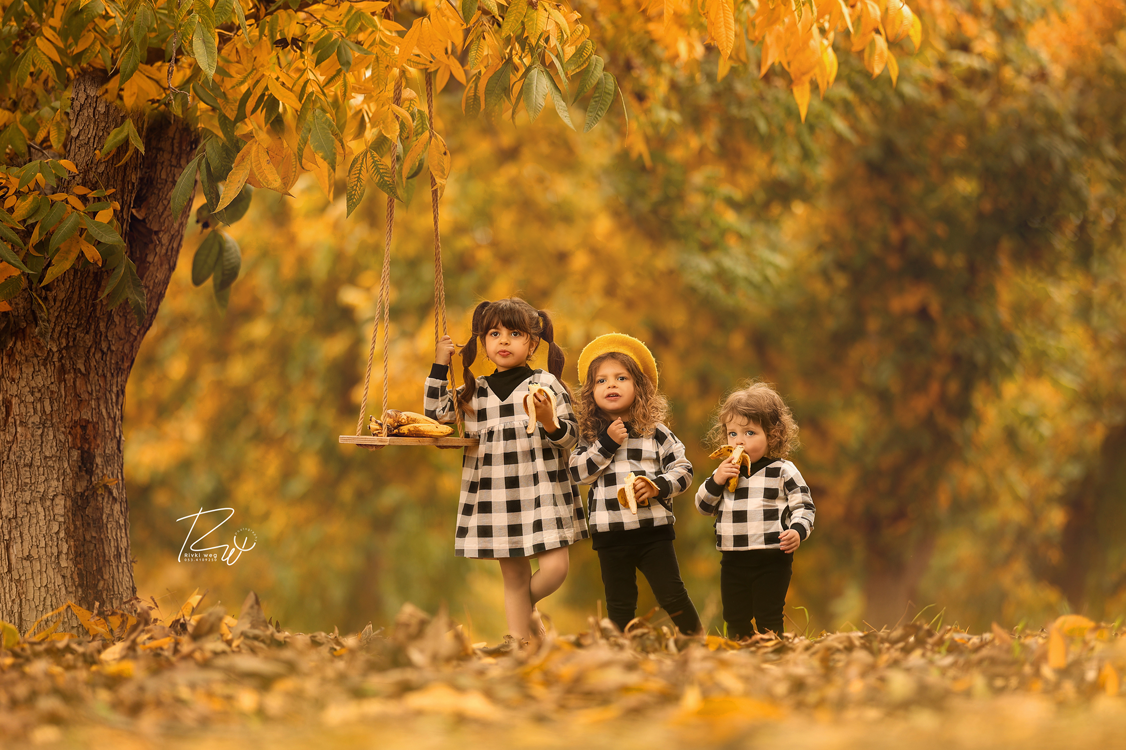 4W3A9593 העתק.jpg