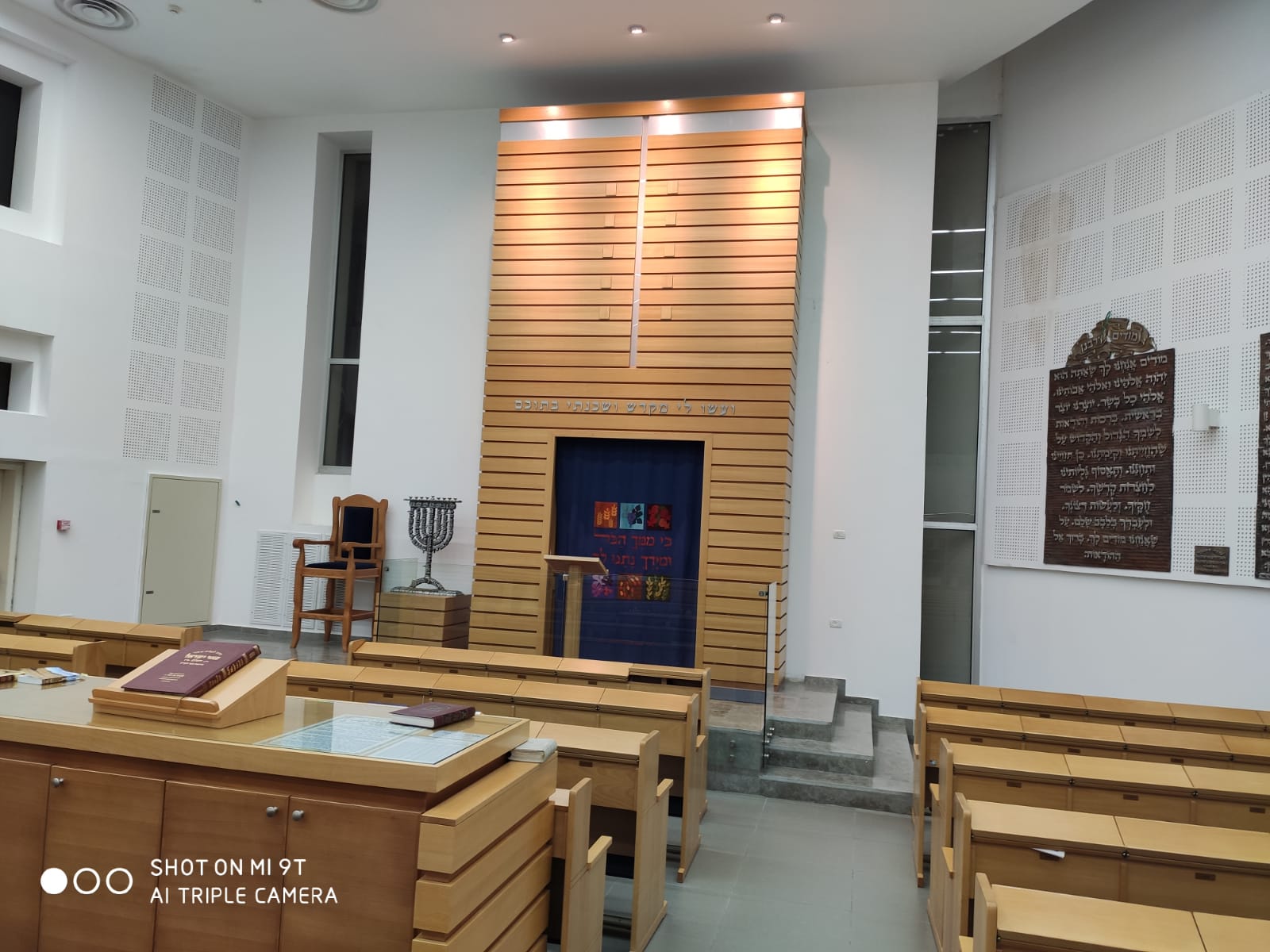 7 המינים לפני הדפסת חלונות.jpg