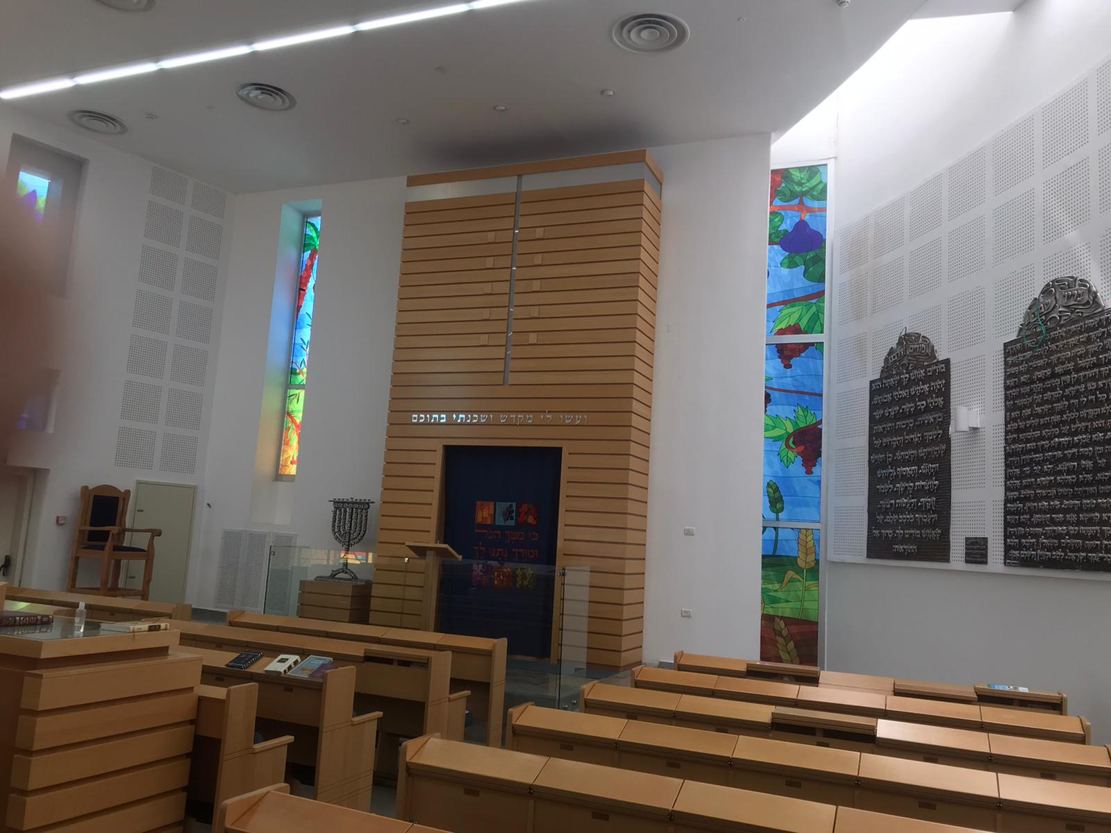 7 המינים צילום כללי.jpg