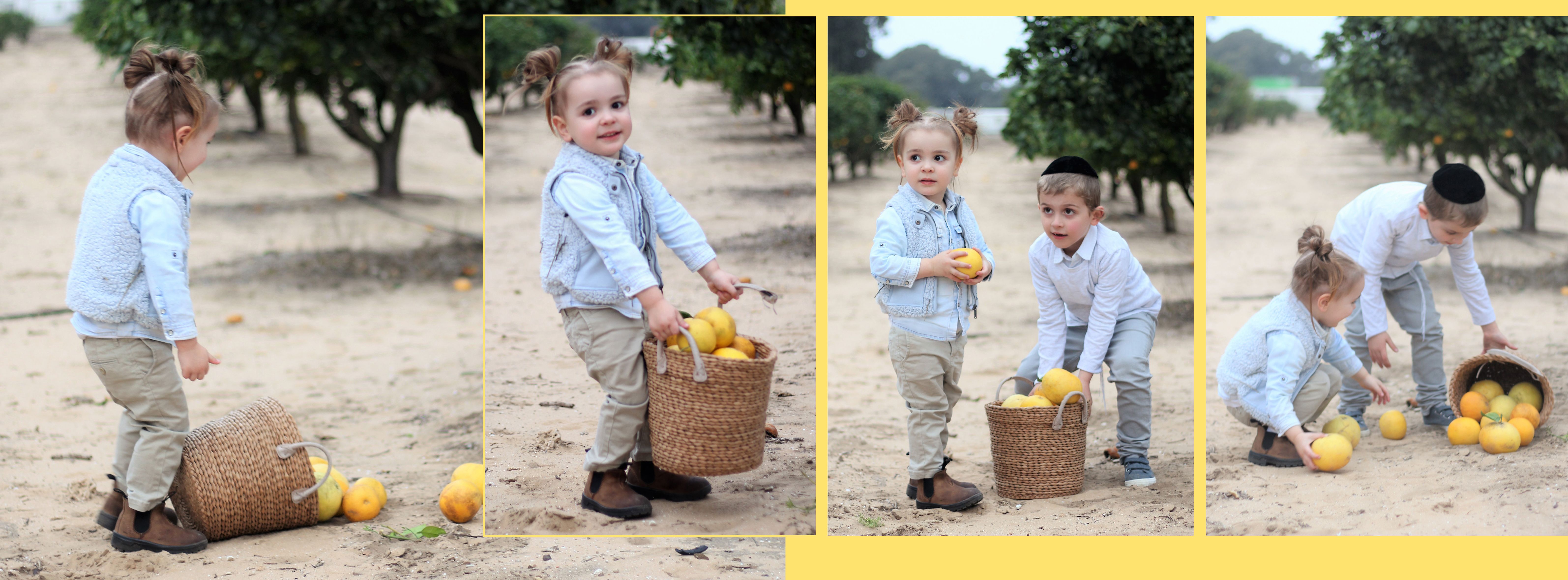 9 אלבום דיגיטלי לדוגמא -חלקה