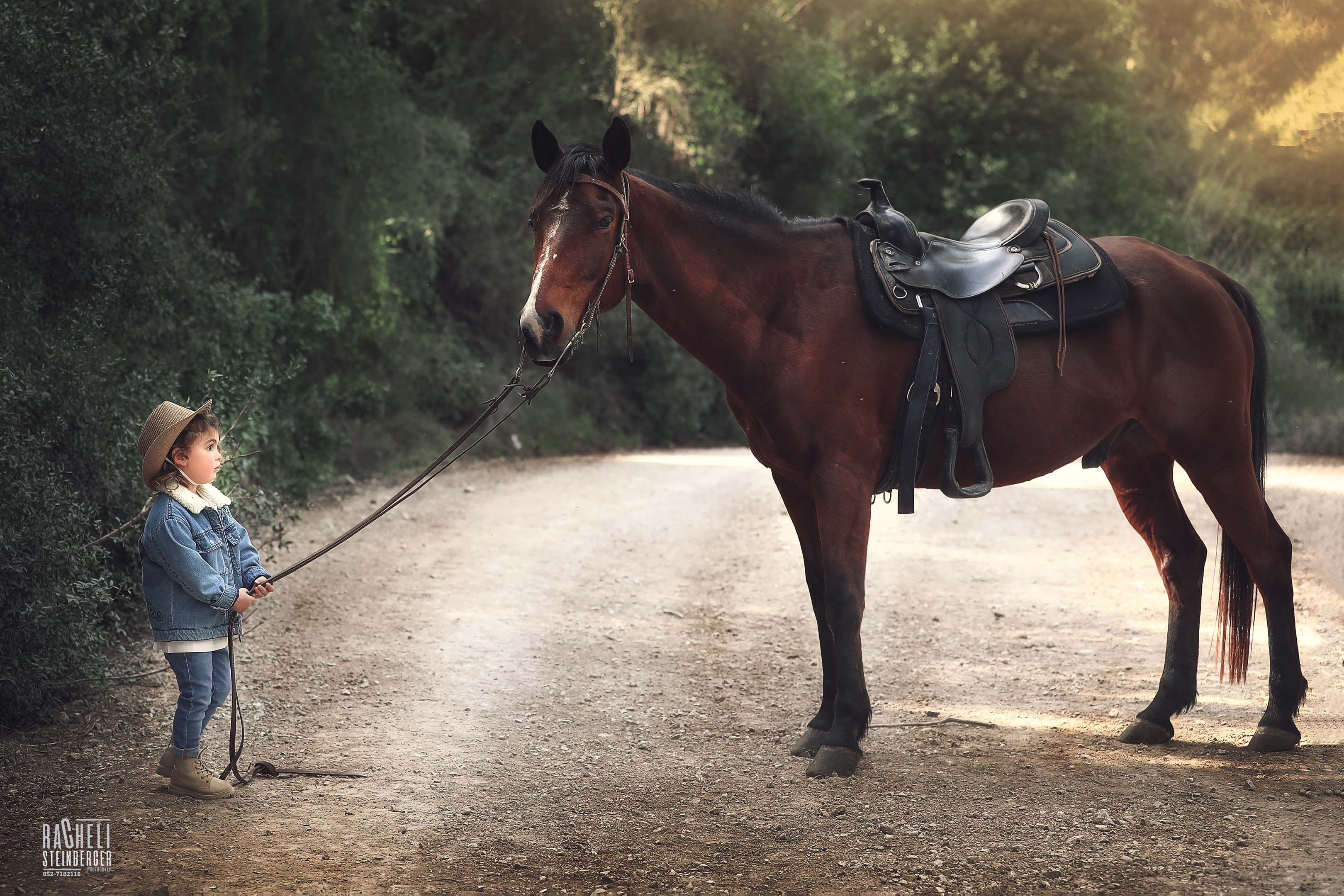 917A3879 -רחלי שטינברגר