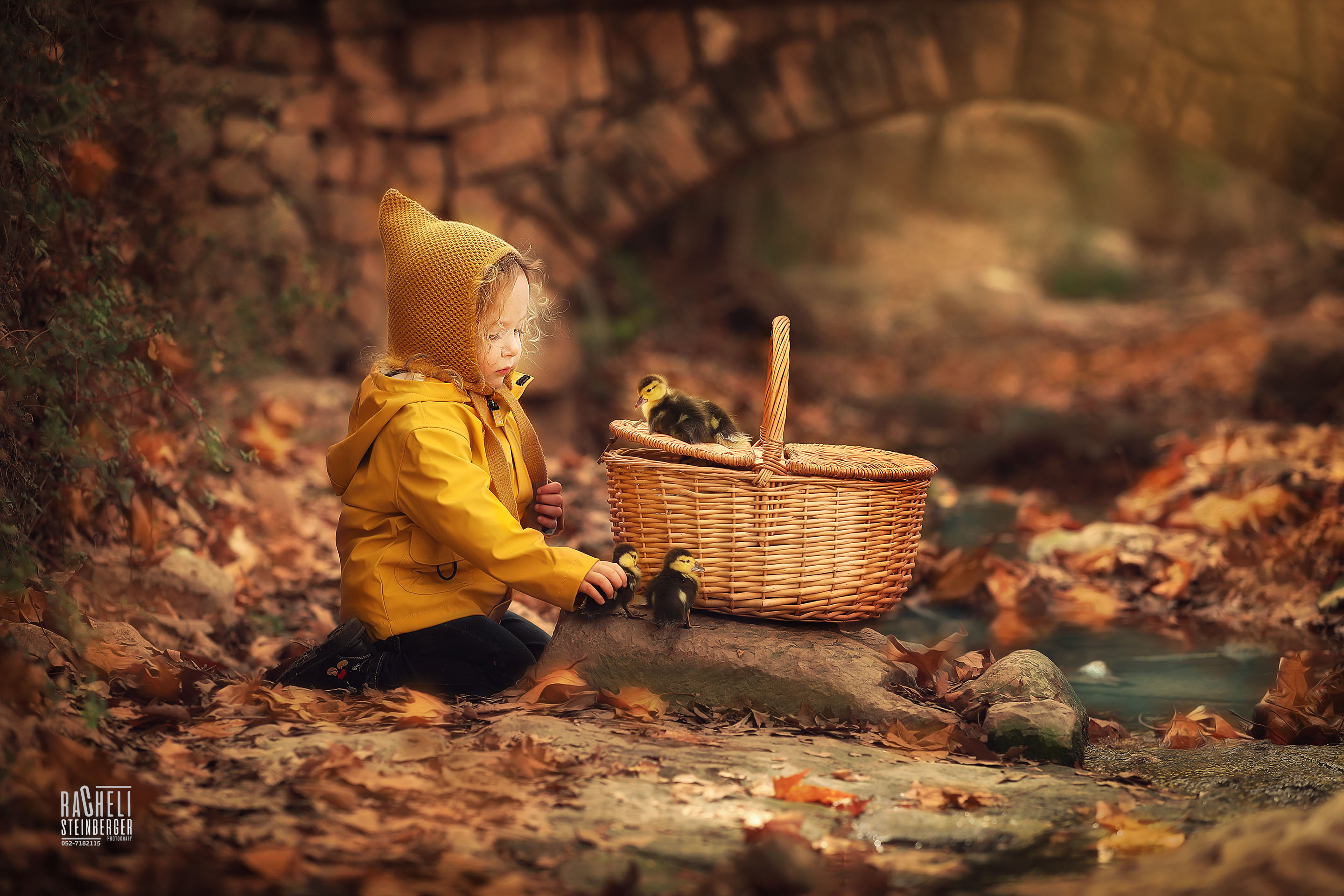 917A6311.jpg-רחלי שטינברגר