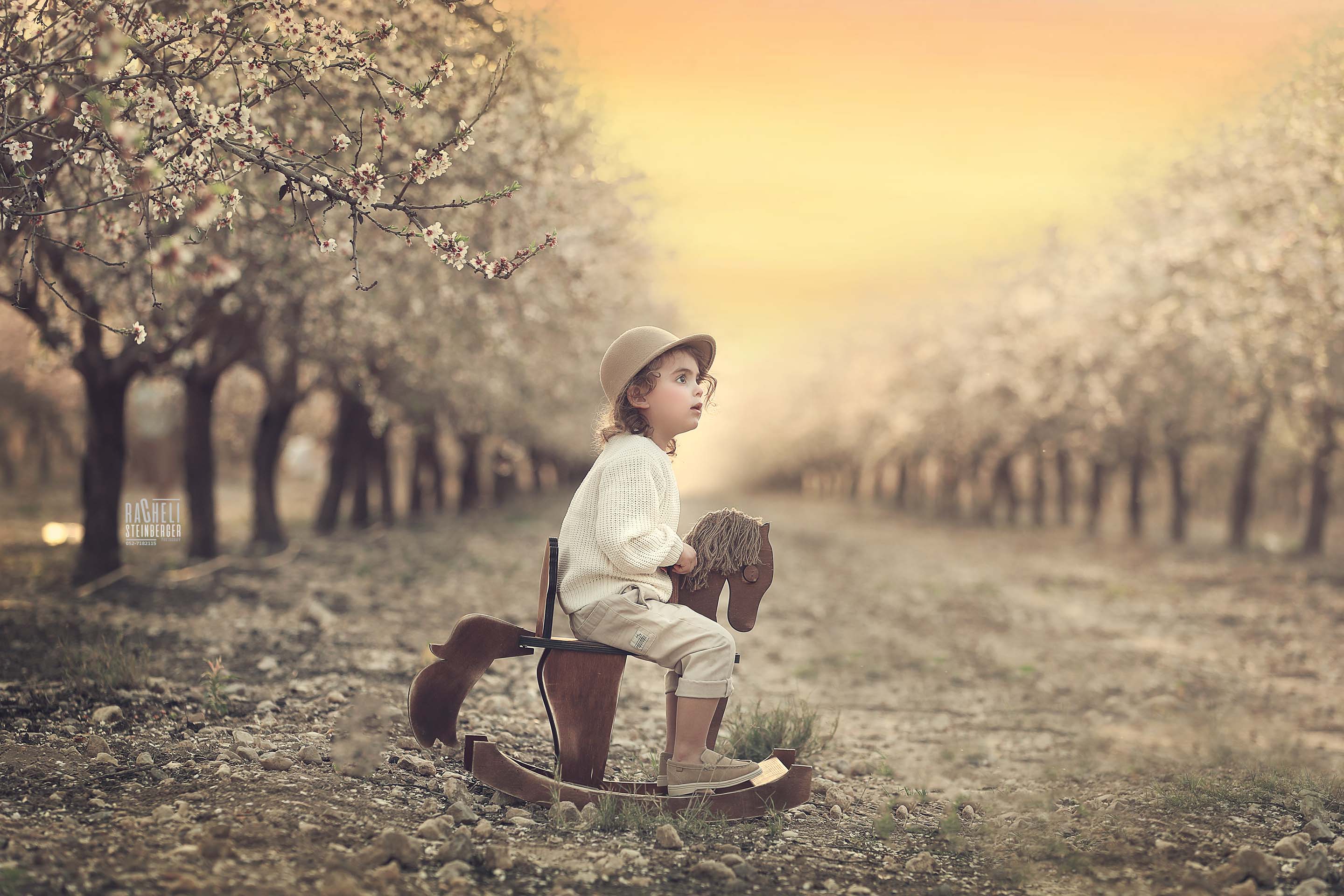 917Ag.jpg-רחלי שטינברגר