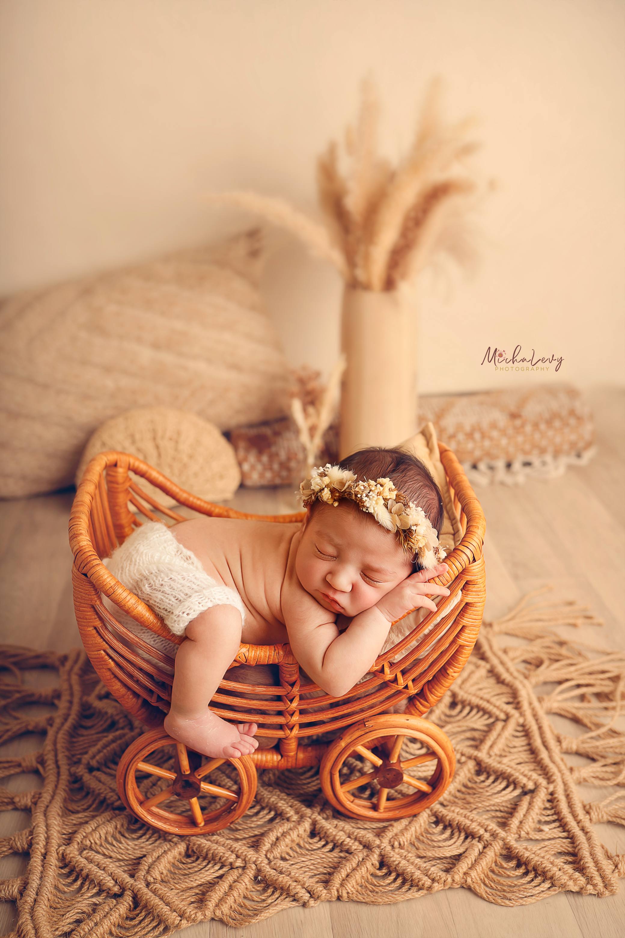 _MG_2086 copy.jpg לוגו.jpg