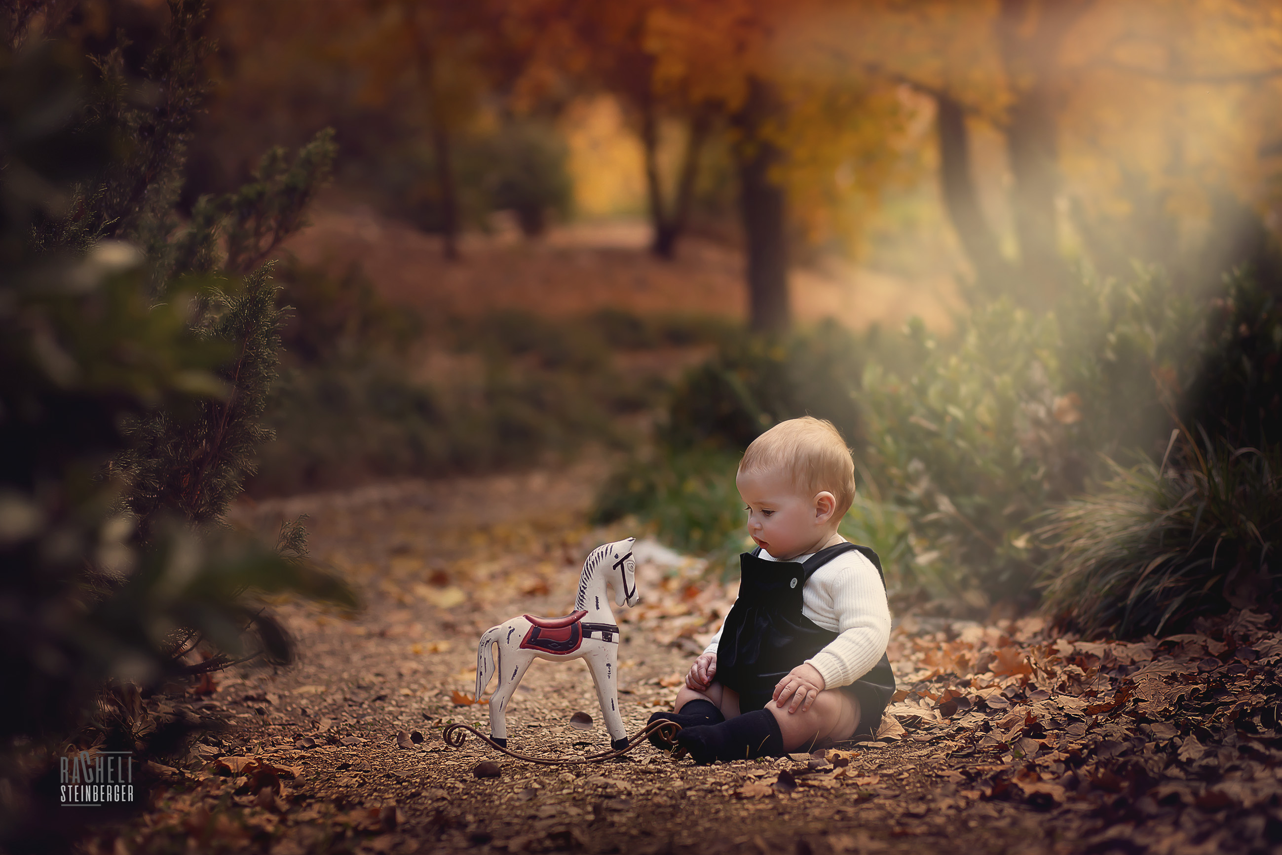 _MG_2154.jpg-רחלי שטינברגר