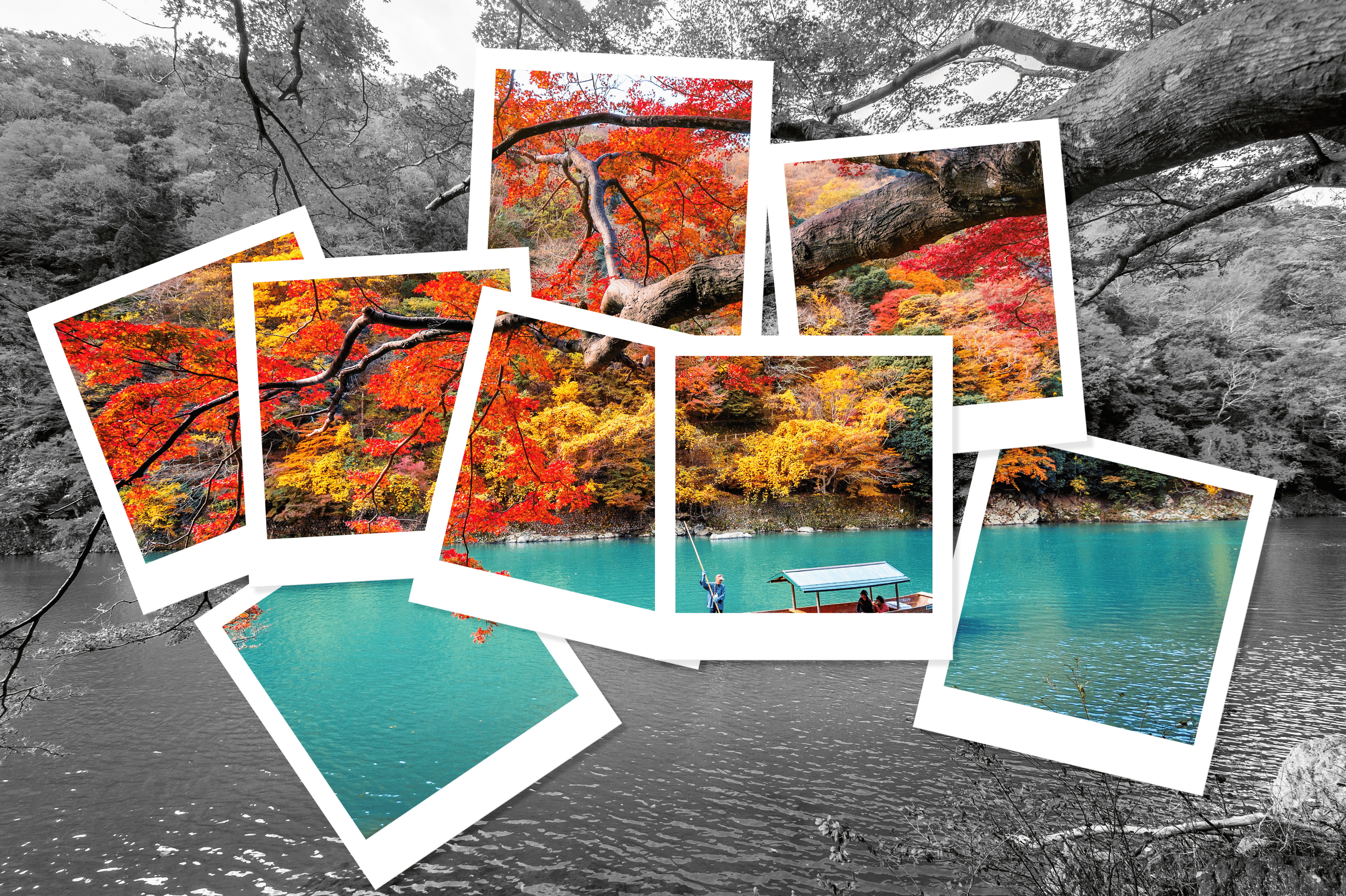 boatman-punting-boat-riv-נוף_optimized (1).png