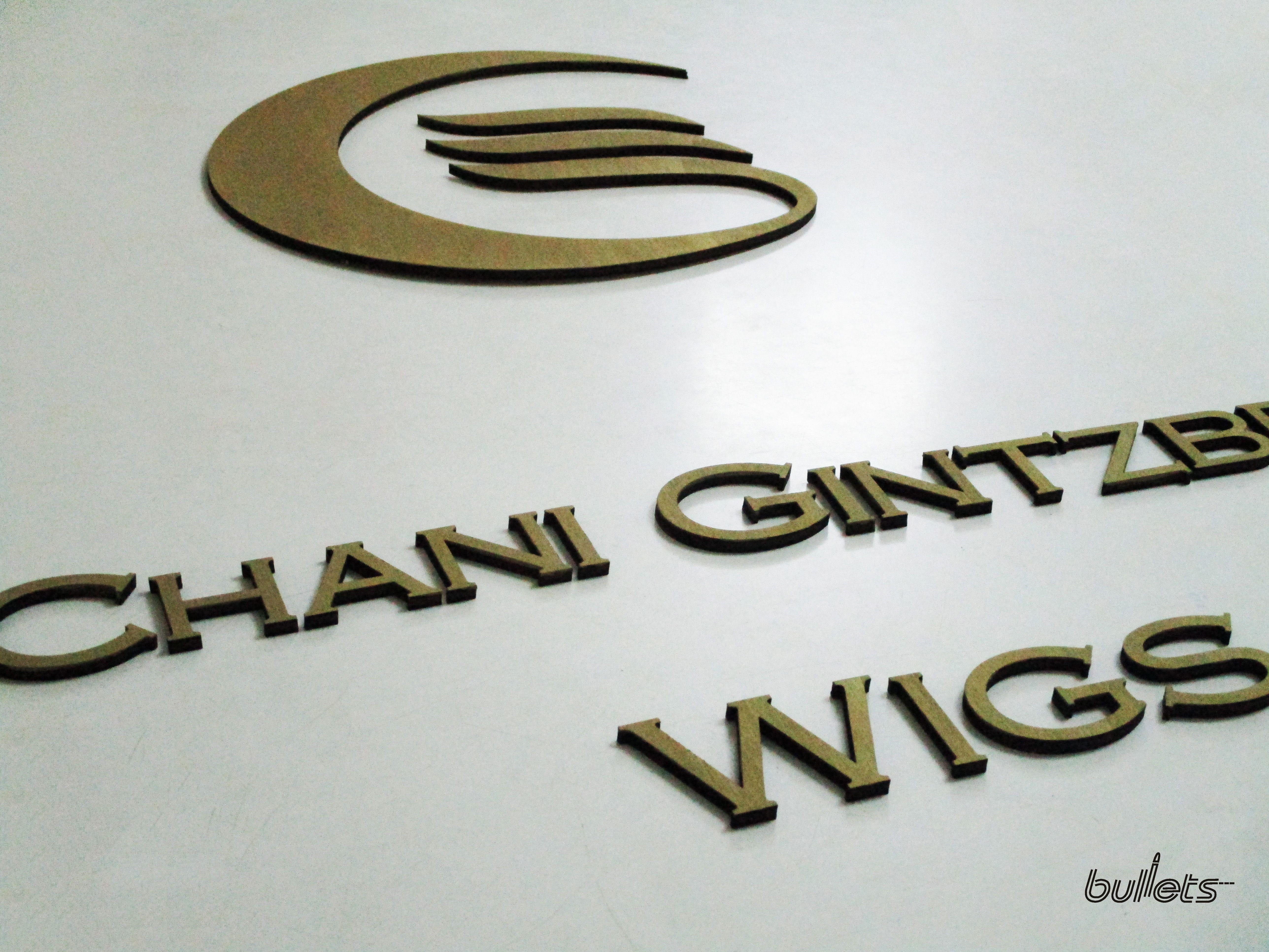 bullets חיתוך בעץ לוגו פאנית לתליה על הקיר 6(2).jpg