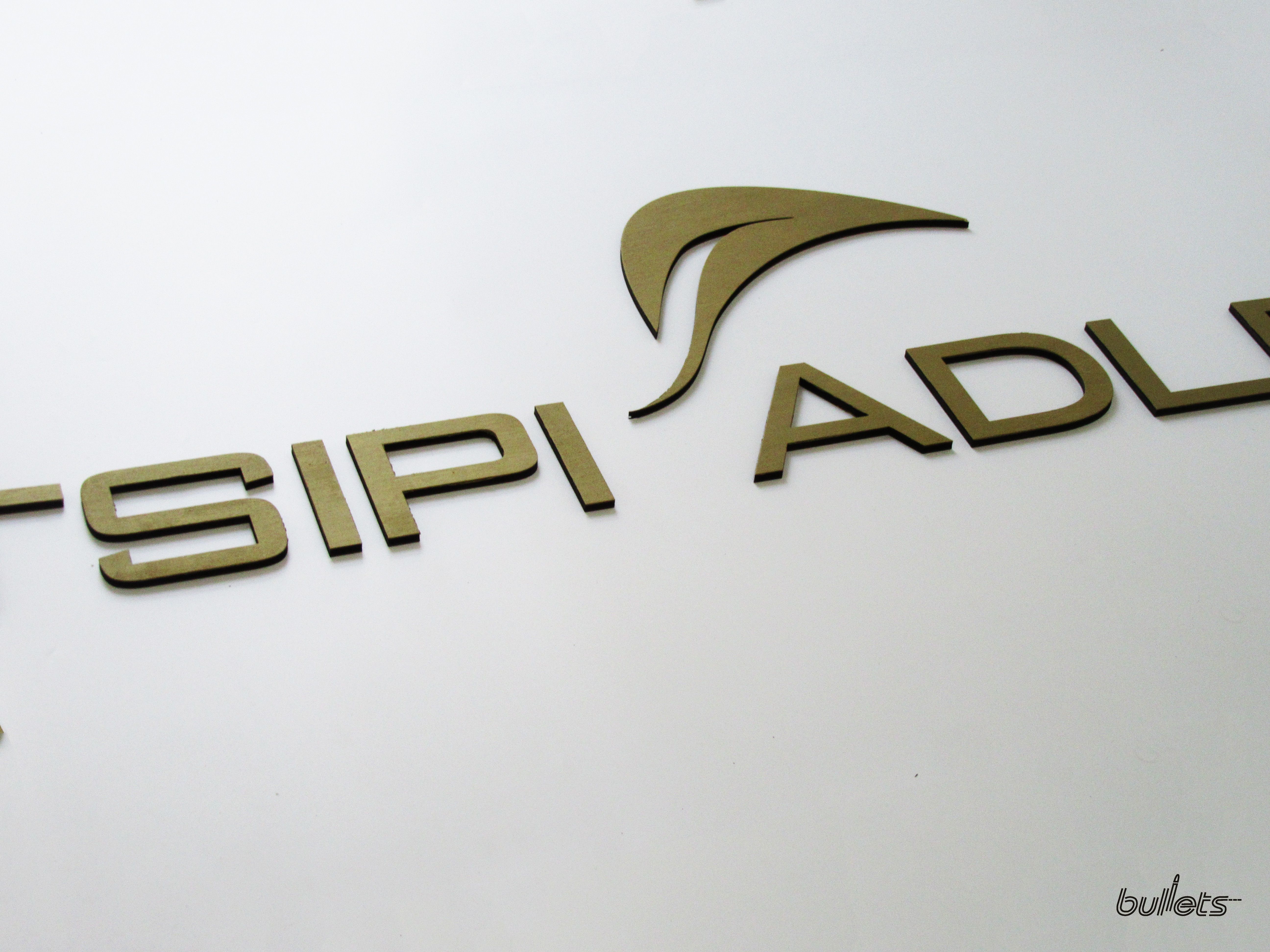 bullets חיתוך בעץ לוגו פאנית לתליה על הקיר 8(2).jpg