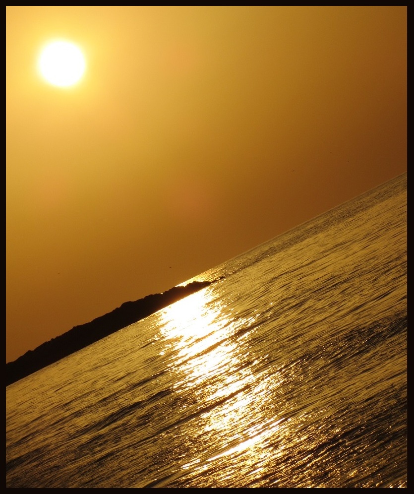 cross
כל הזכויות שמורות!