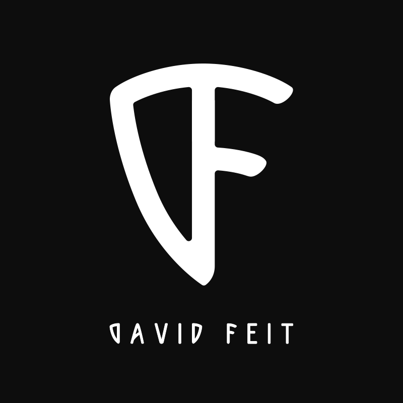David Feit - עיצוב לוגו ליועץ פרויקטים