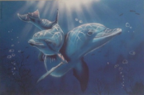 Dolphin