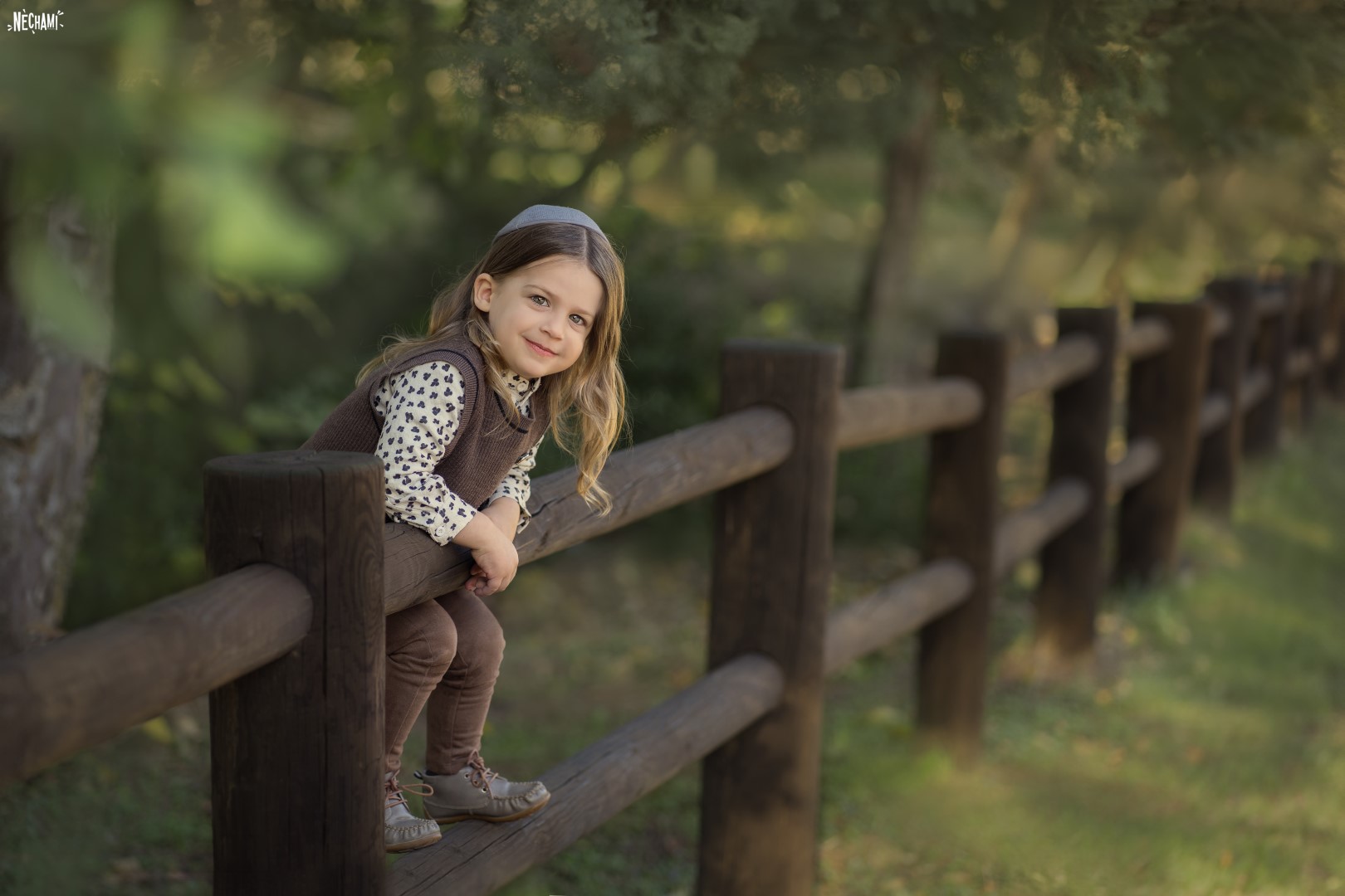 DSC00443 copy (Large).jpg