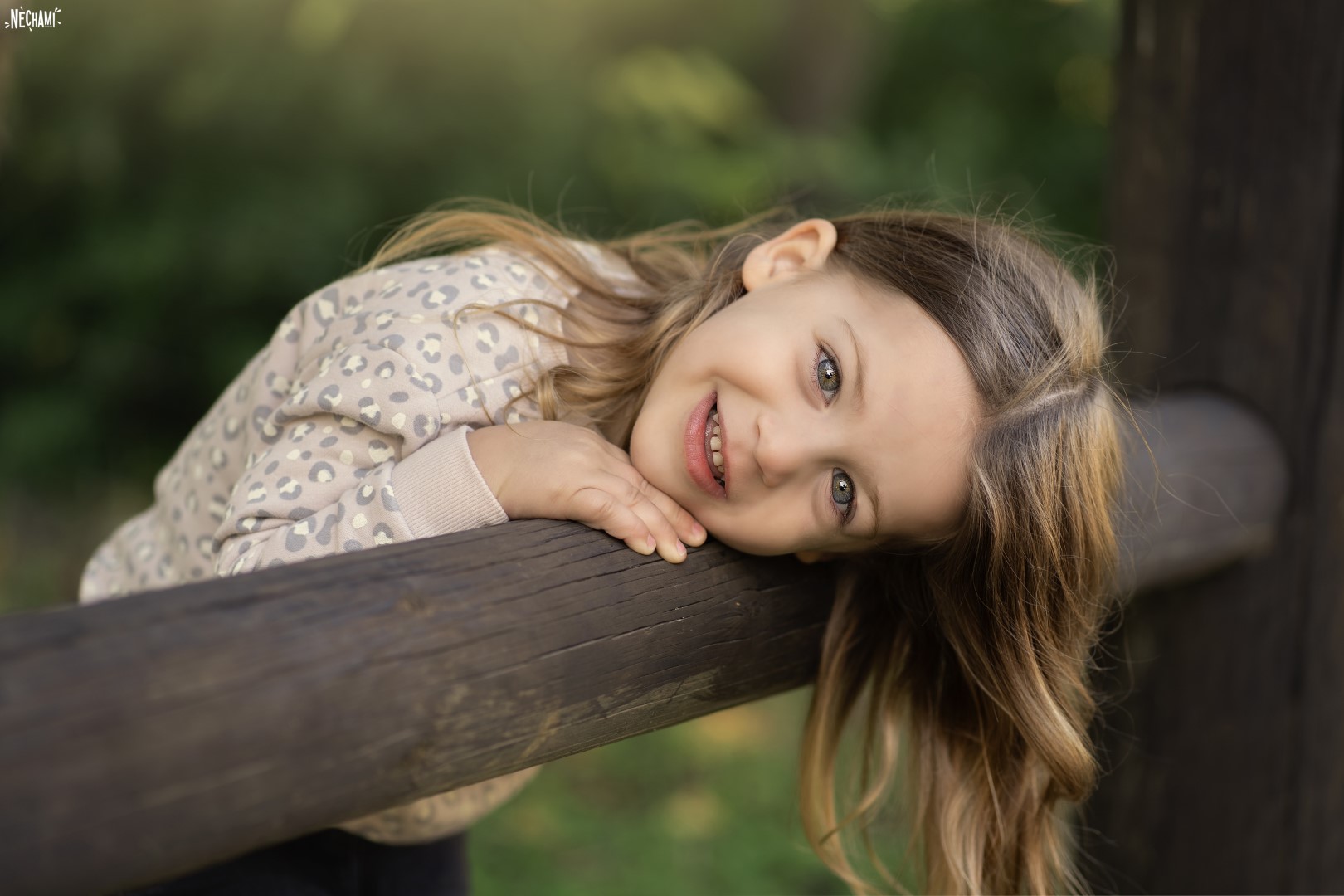 DSC00700 copy (Large).jpg