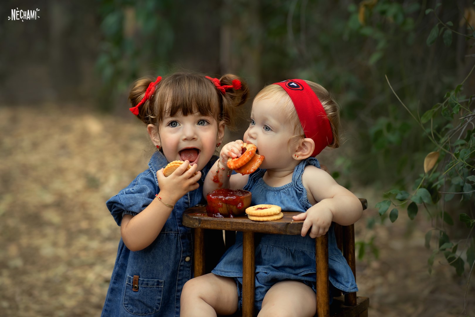 DSC06019 copy.jpgחתום (Large).jpg