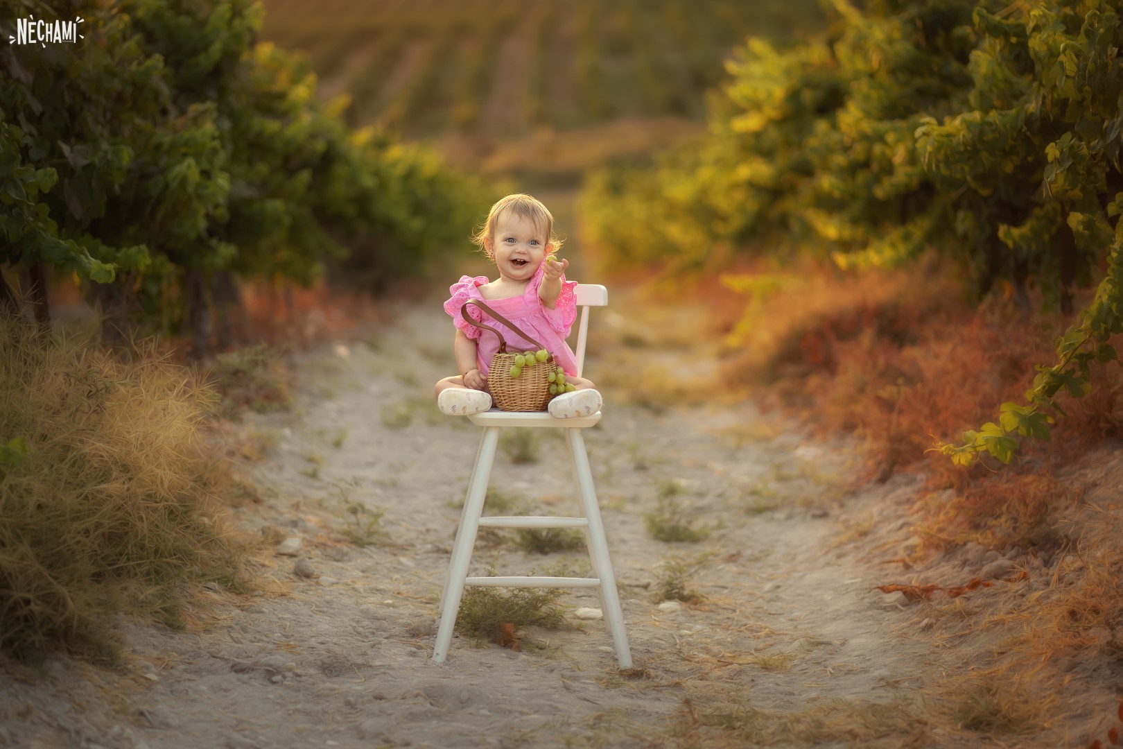 DSC06624 copy (Large).jpg