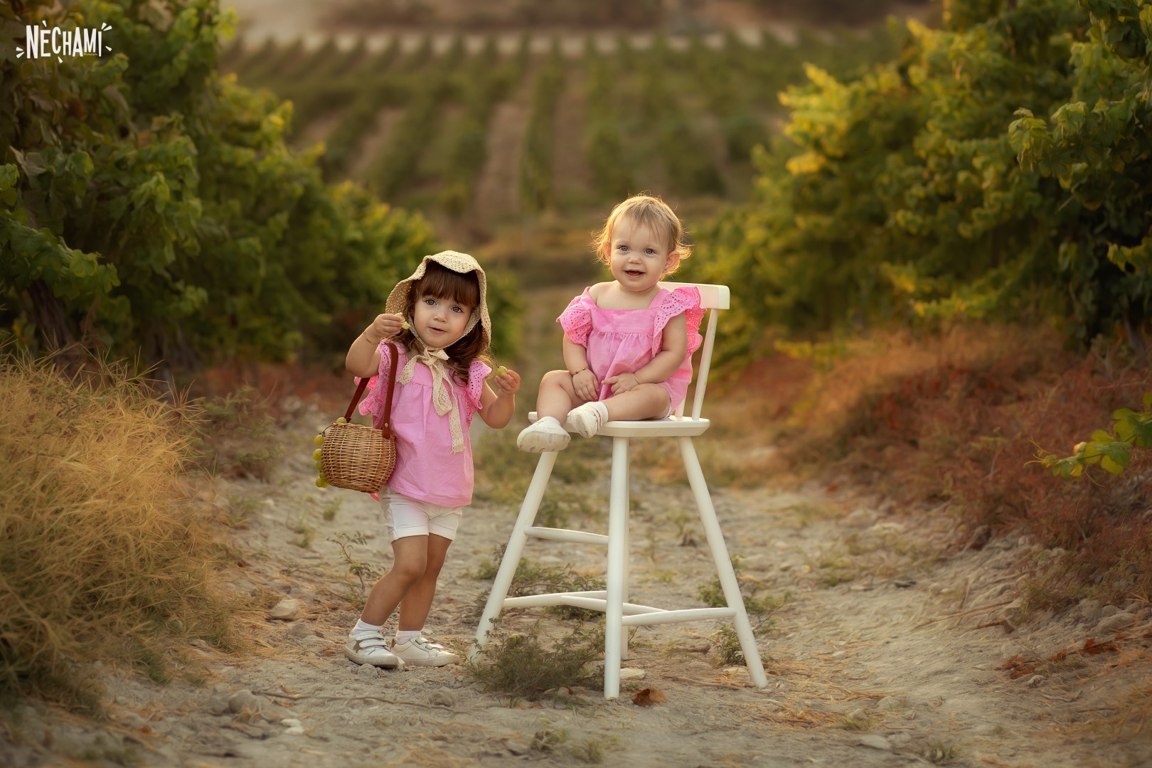 DSC06840 copy (Large).jpg