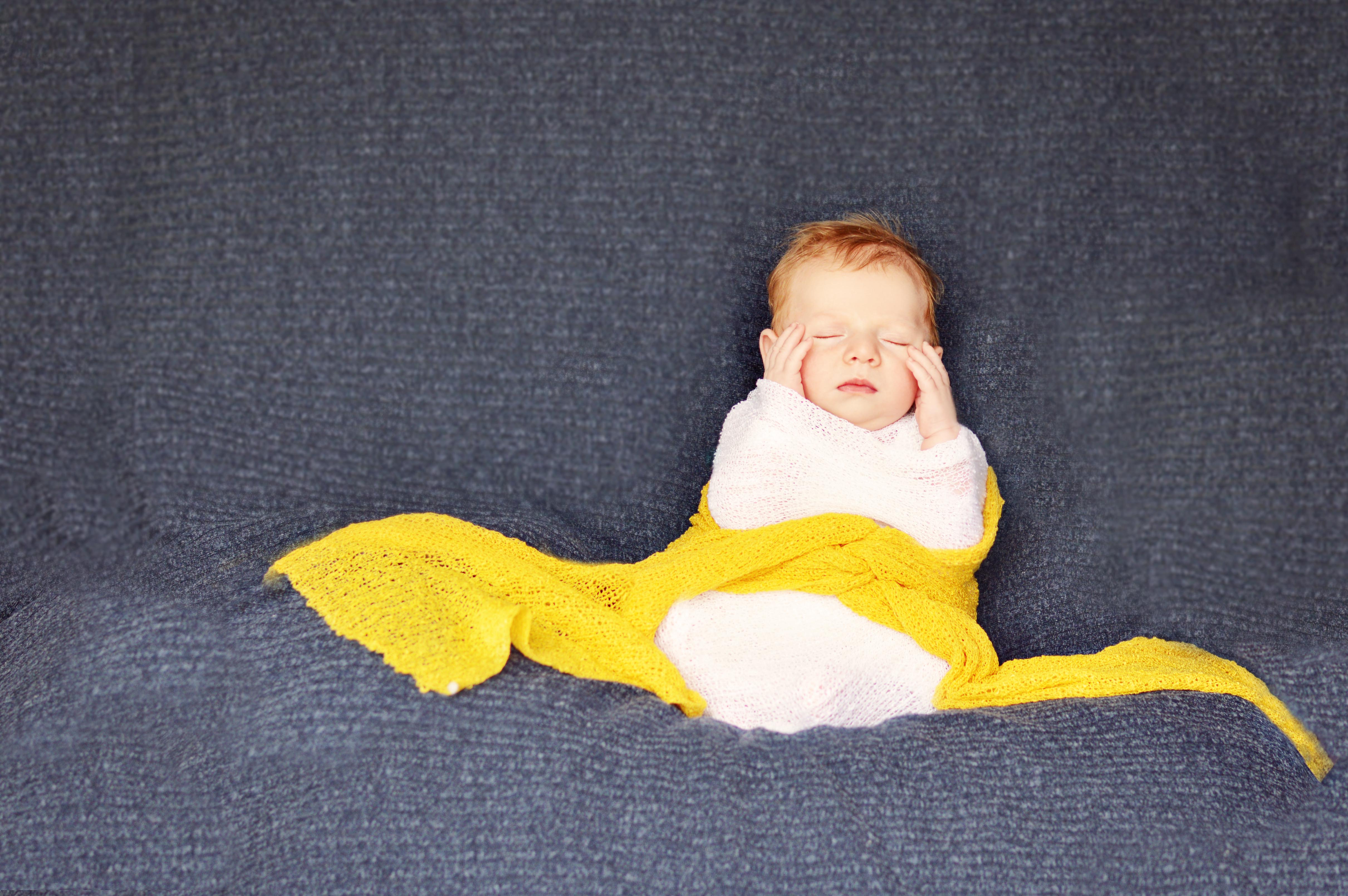 DSC_0156מוקטןא