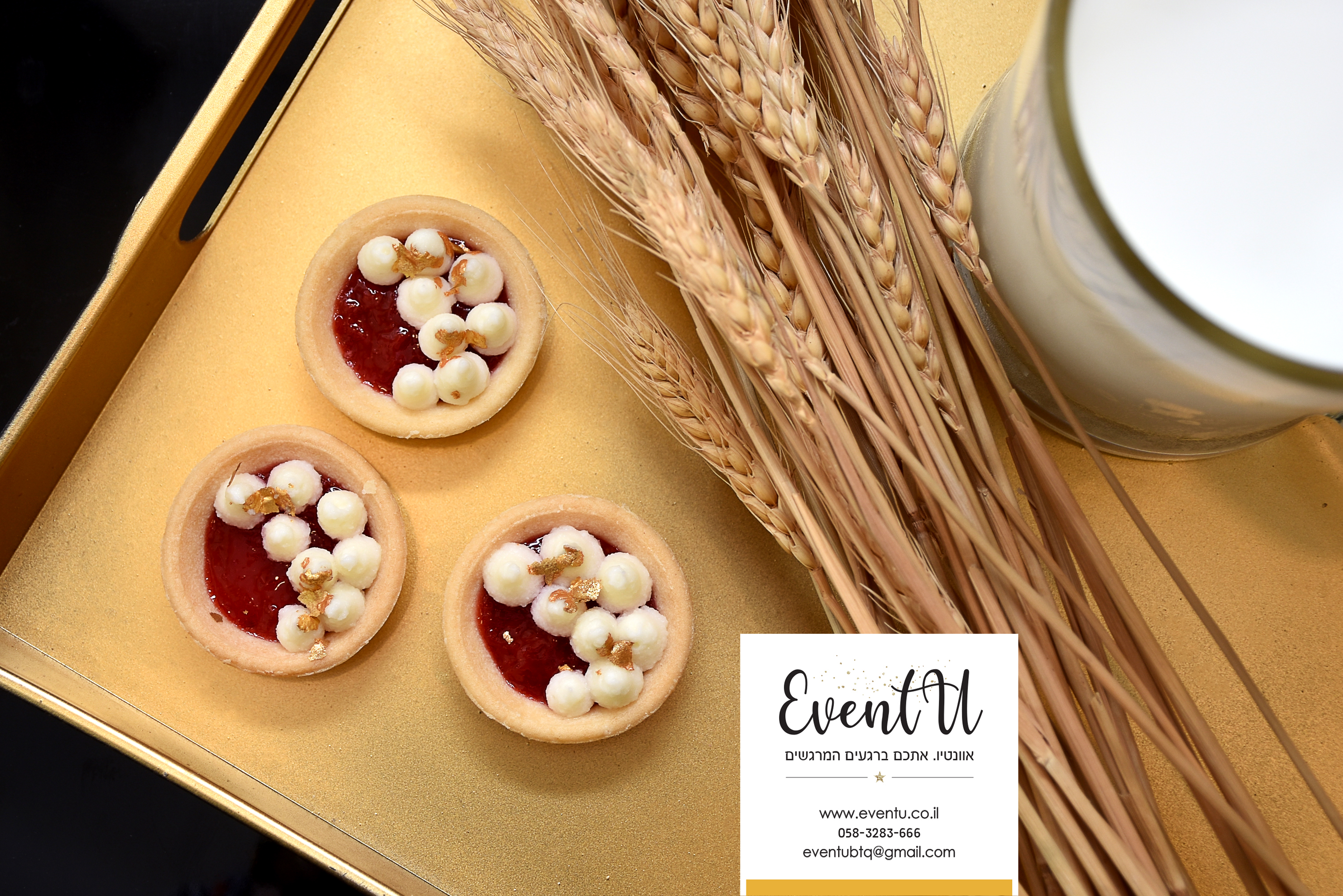 DSC_0939מעובד copy.jpg