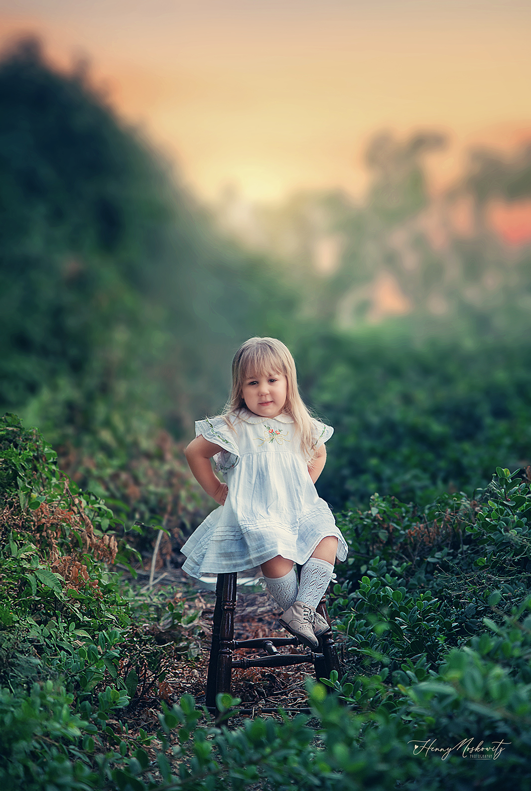 DSC_3929-Recovered copy.jpg