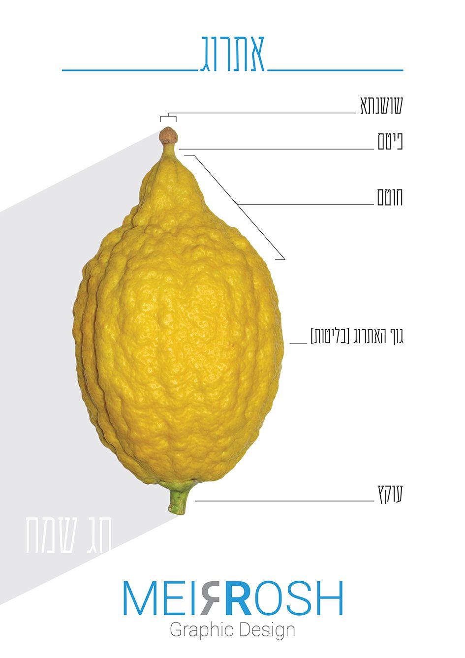 Etrog MeirRoshDesign72_result