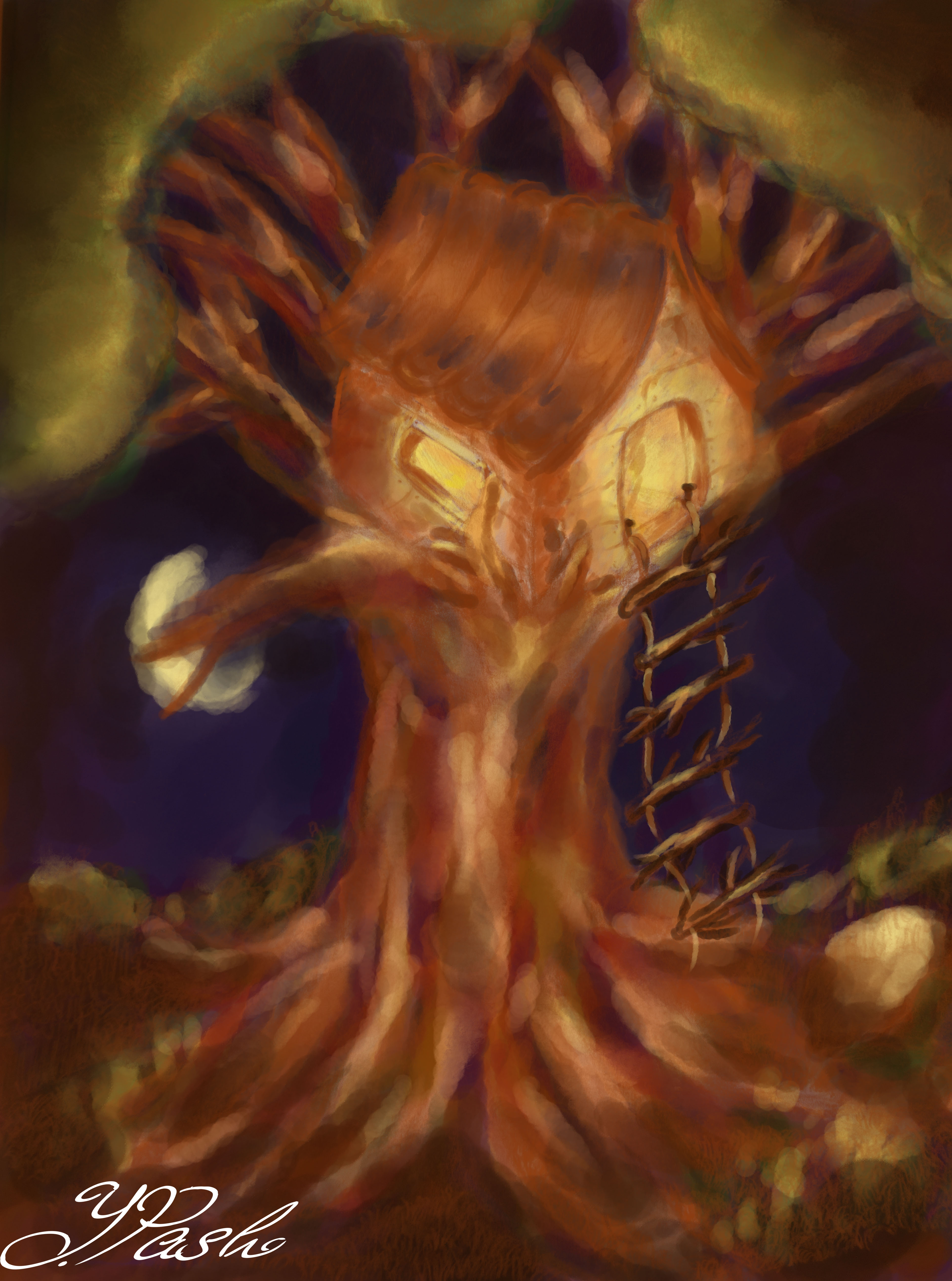 house in the tree.jpg