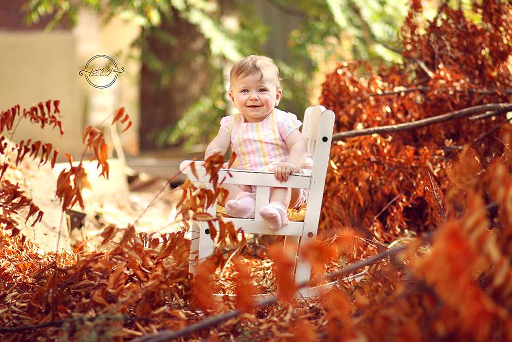 IMG_מוקטן לוגו5956ערוך