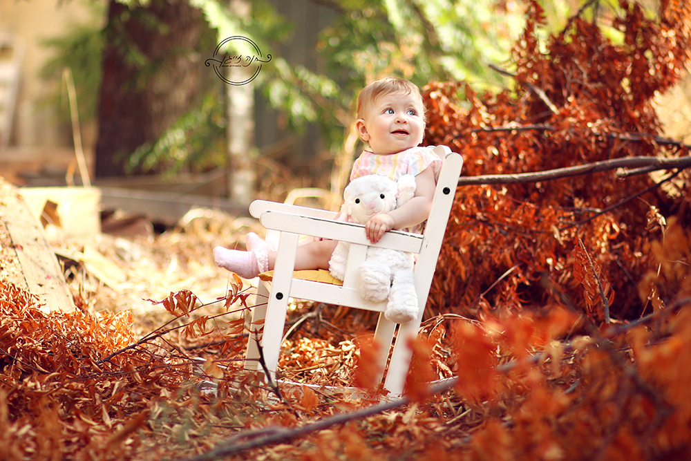 IMG_מוקטן לוגו5983ערוך